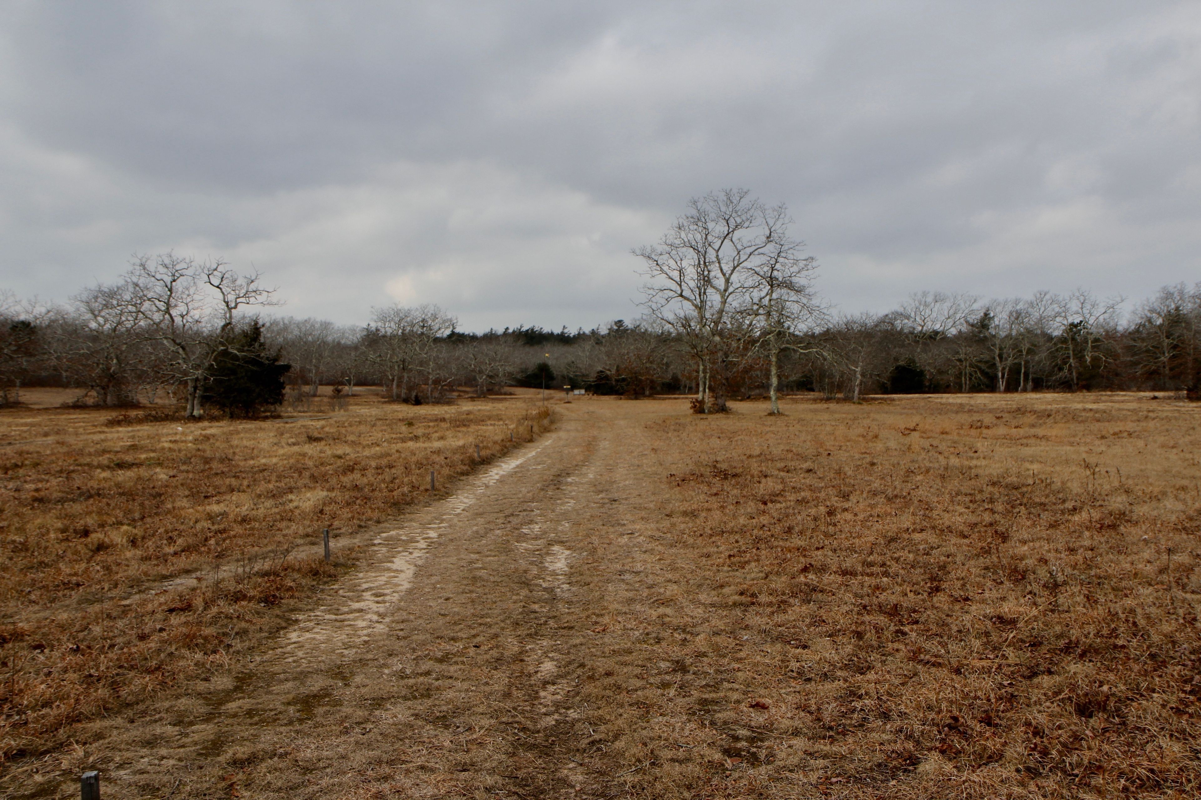 old road/trail