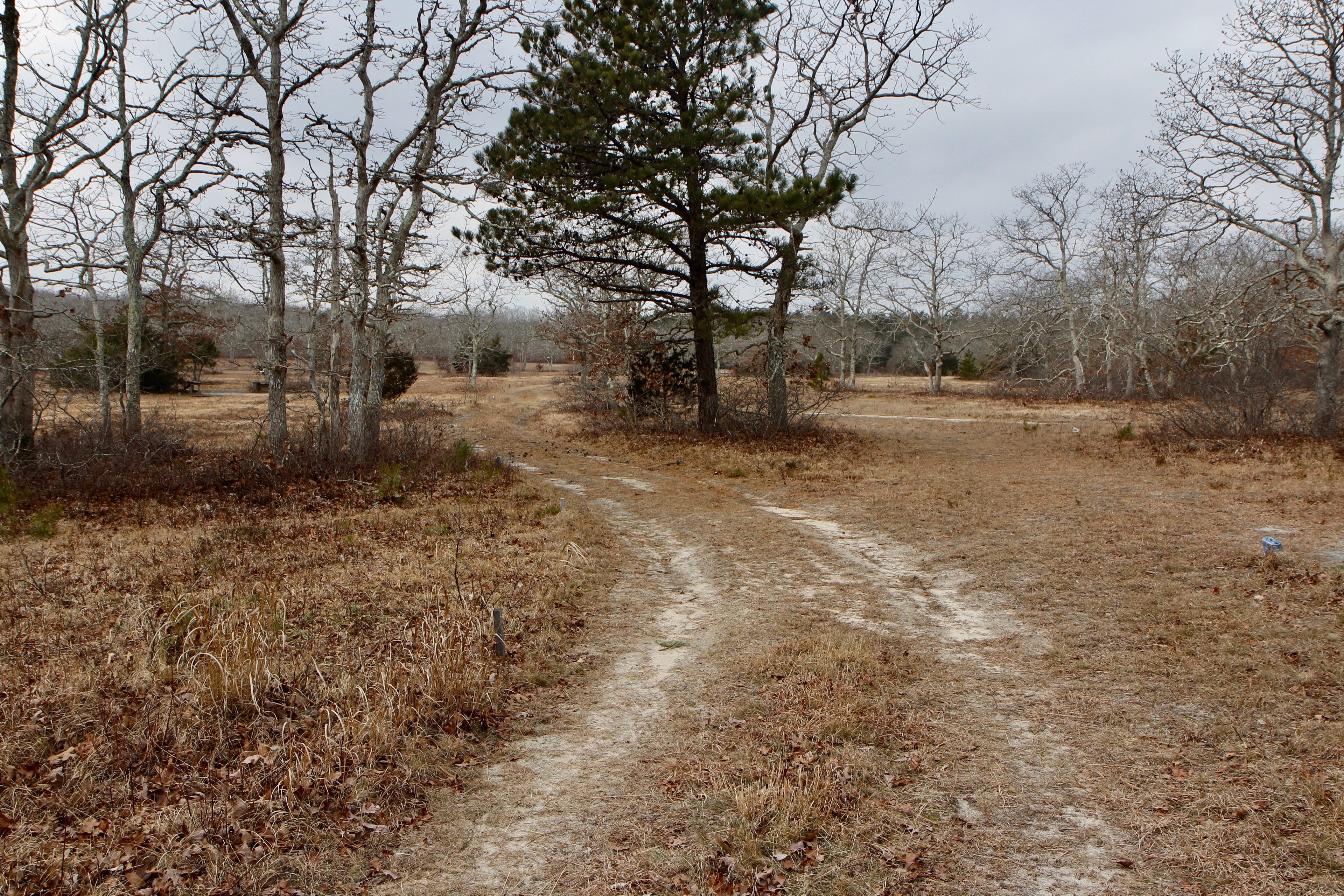 old road/trail through Disk Golf