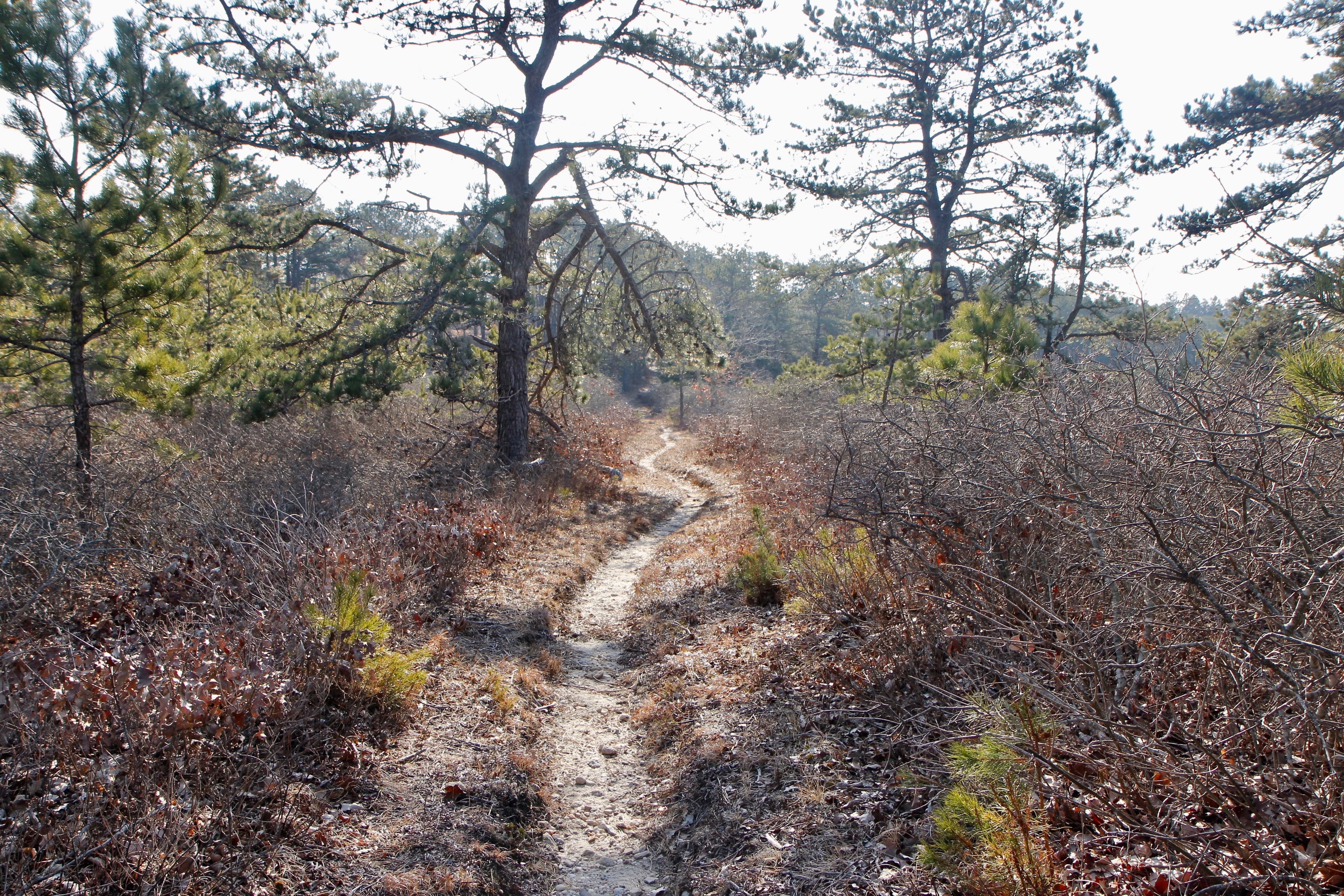 sandy trail