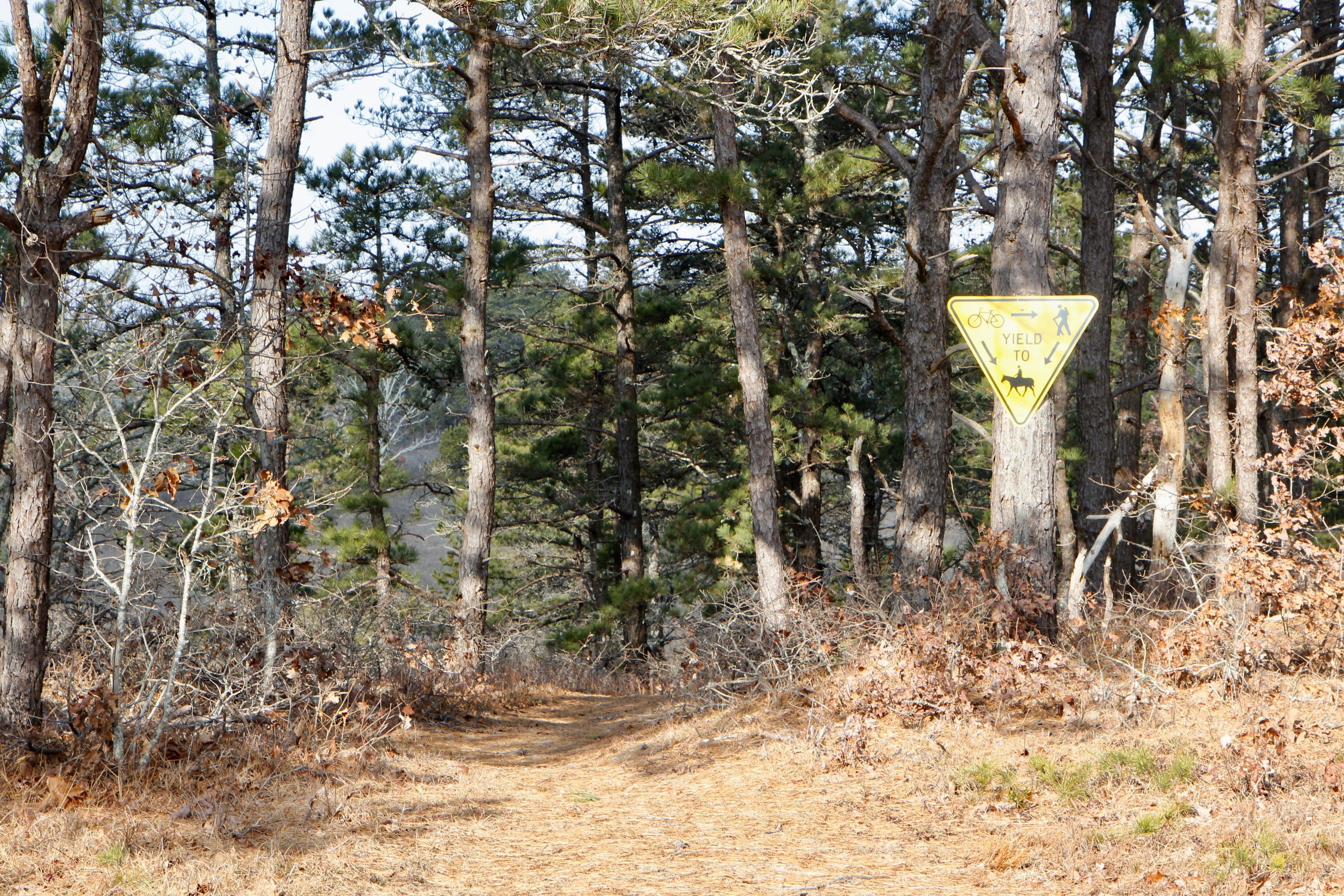 at intersection with paved bike path and Fire Trail 4