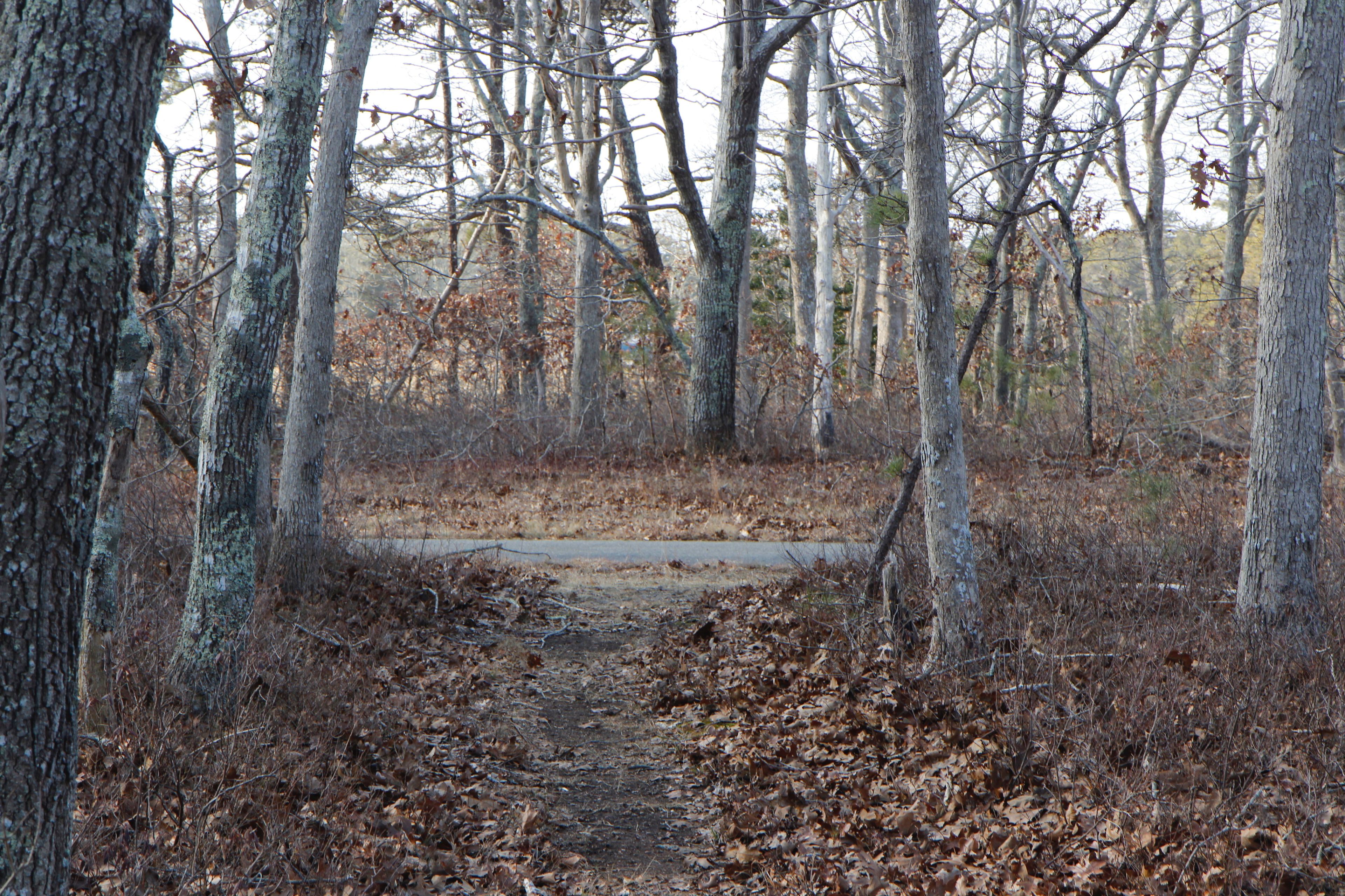 intersection with paved bike path