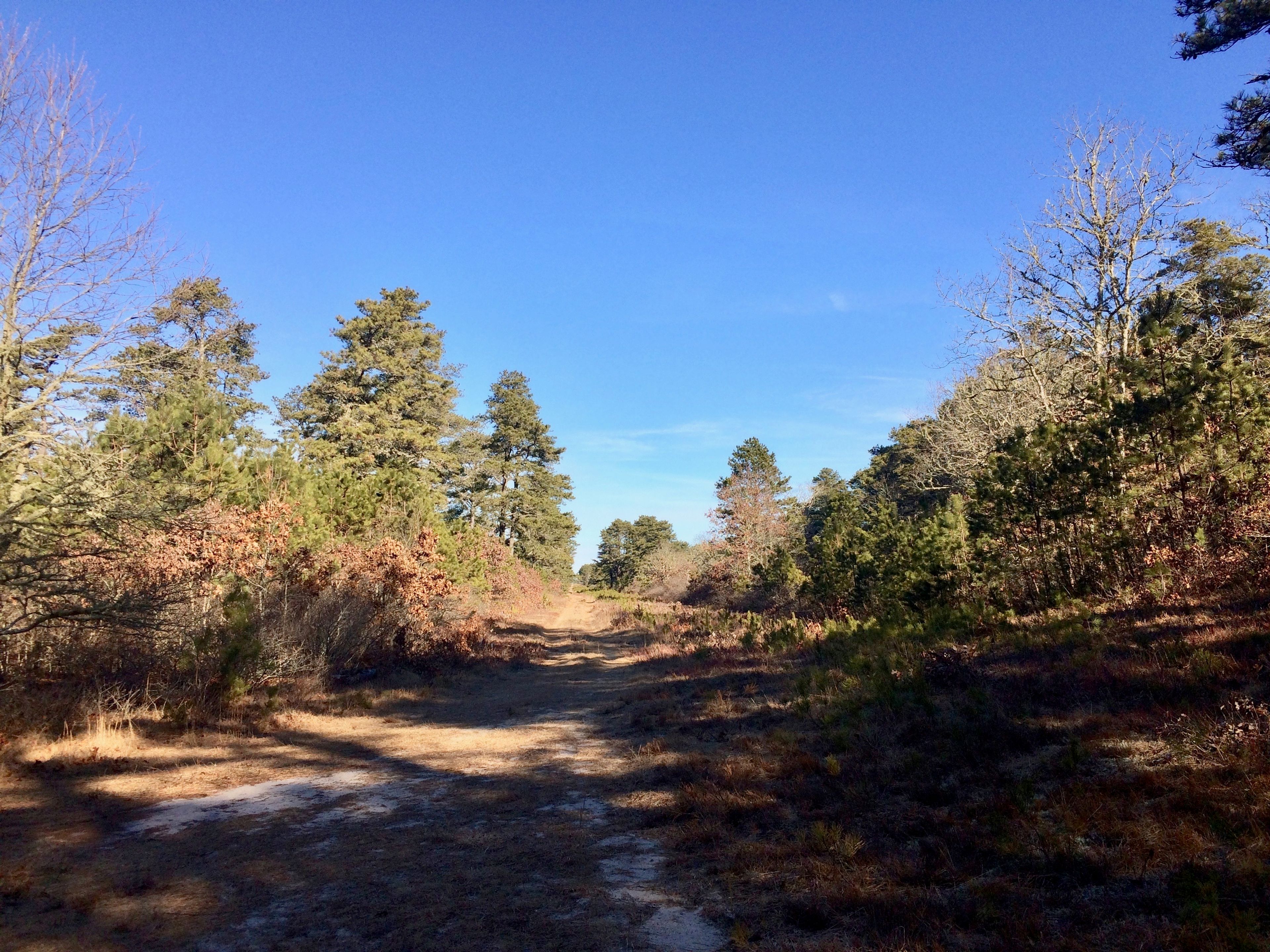 unpaved fire trail-3