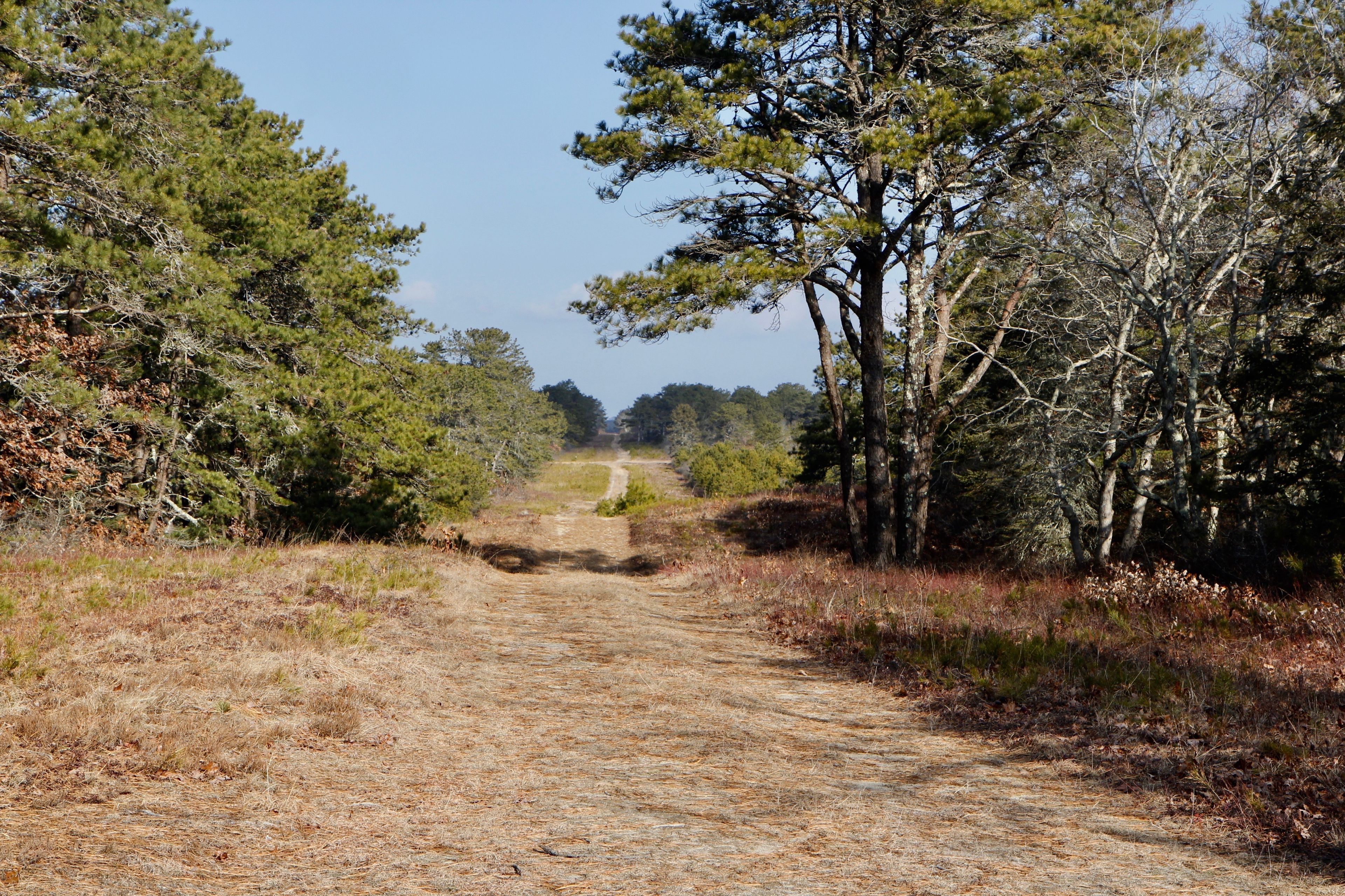 unpaved fire trail-4