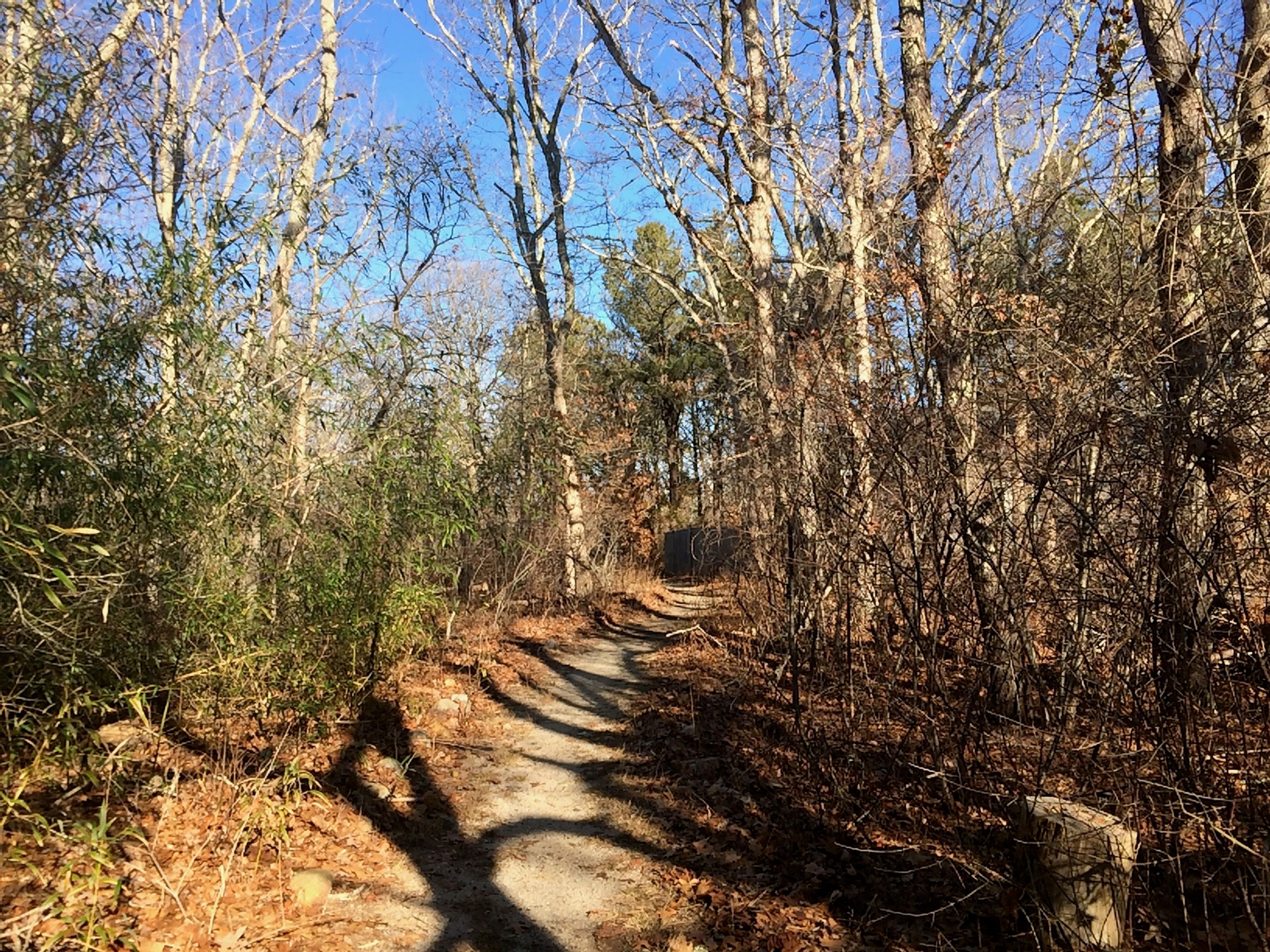 leading to paved bike path