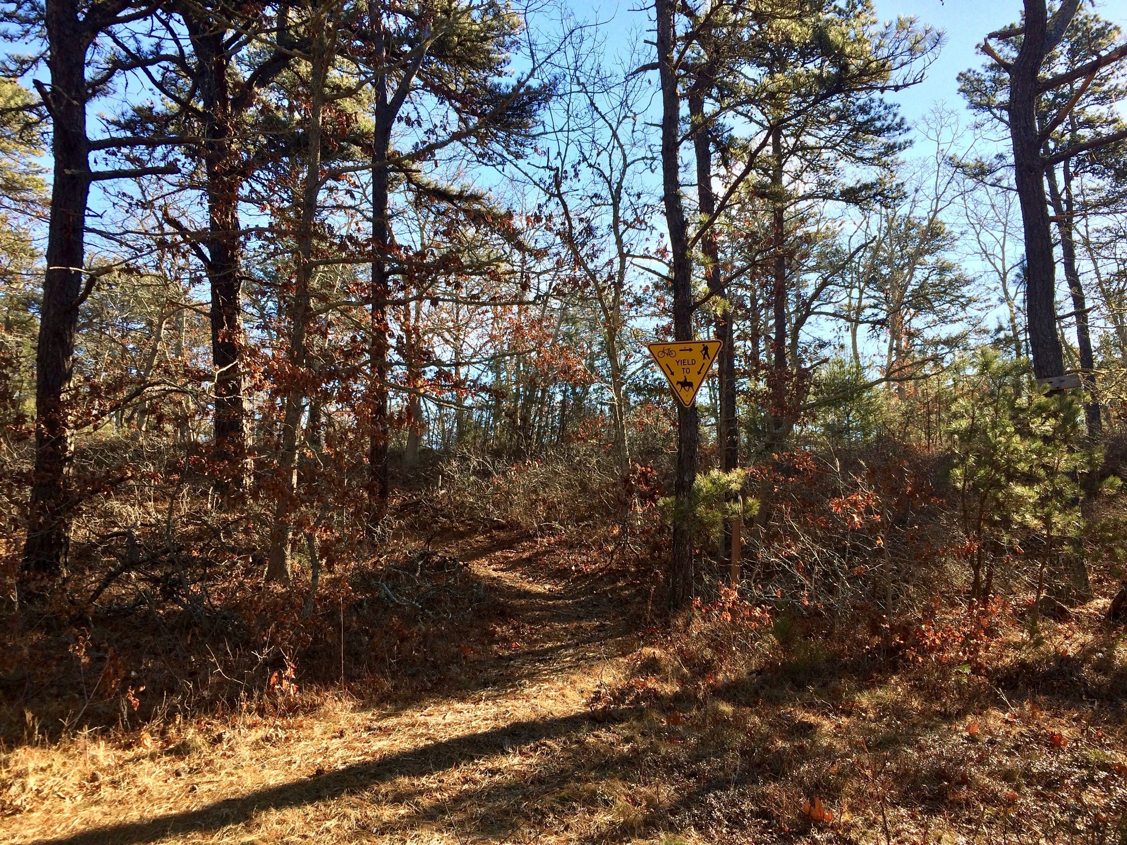 at west end- yellow triangular sign