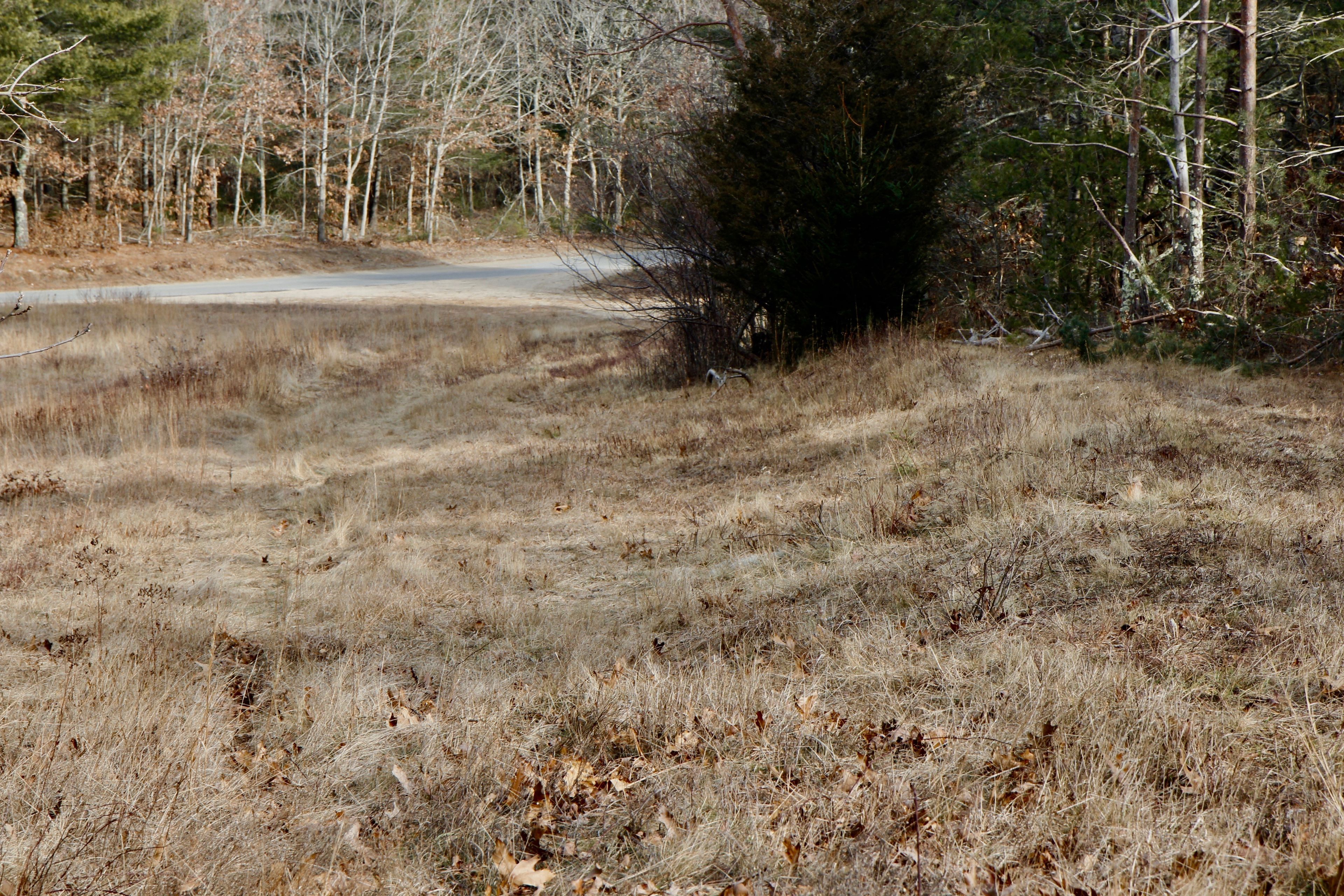 path through the grass to Sanderson Road