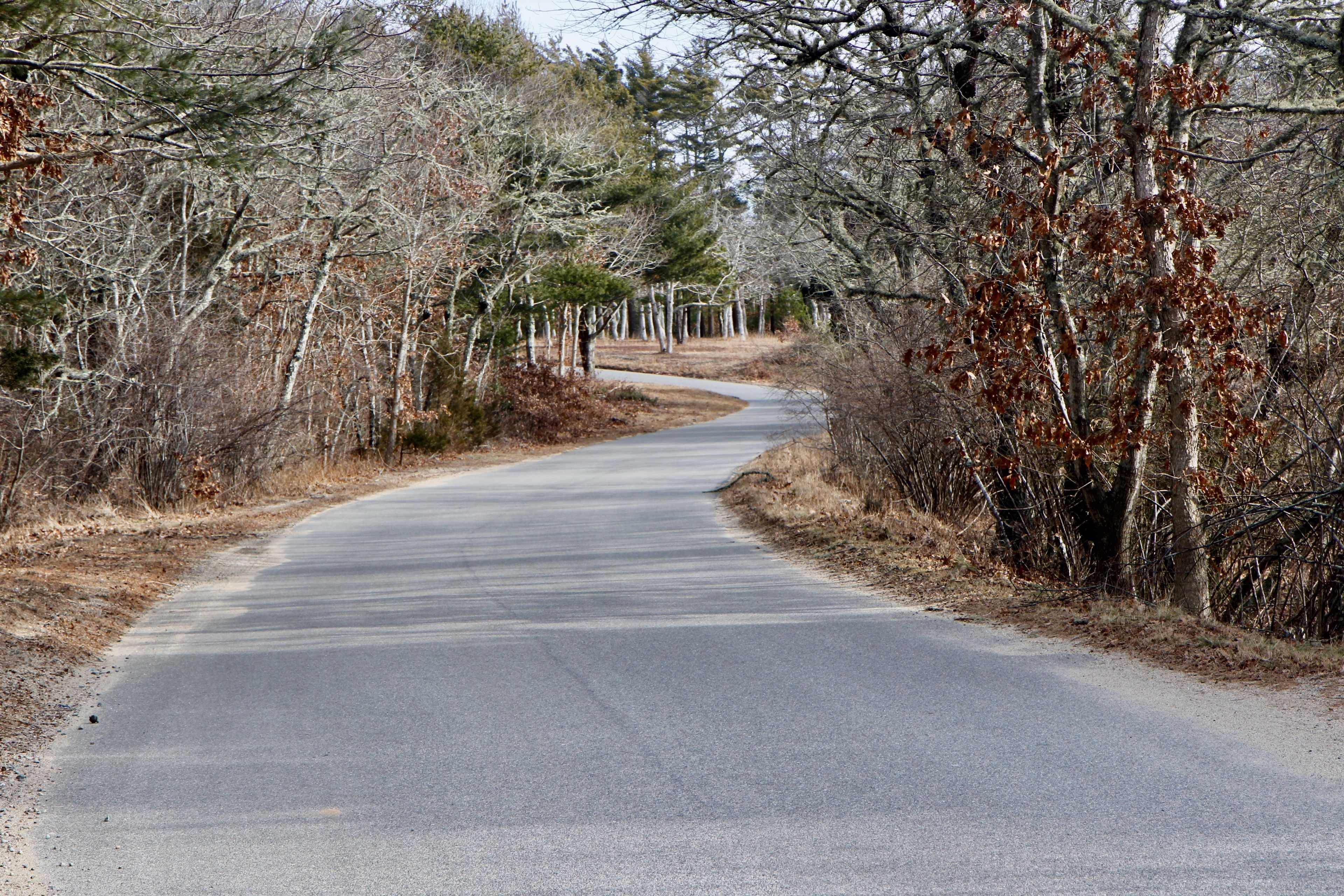 paved road leading to State Forest Headquarters