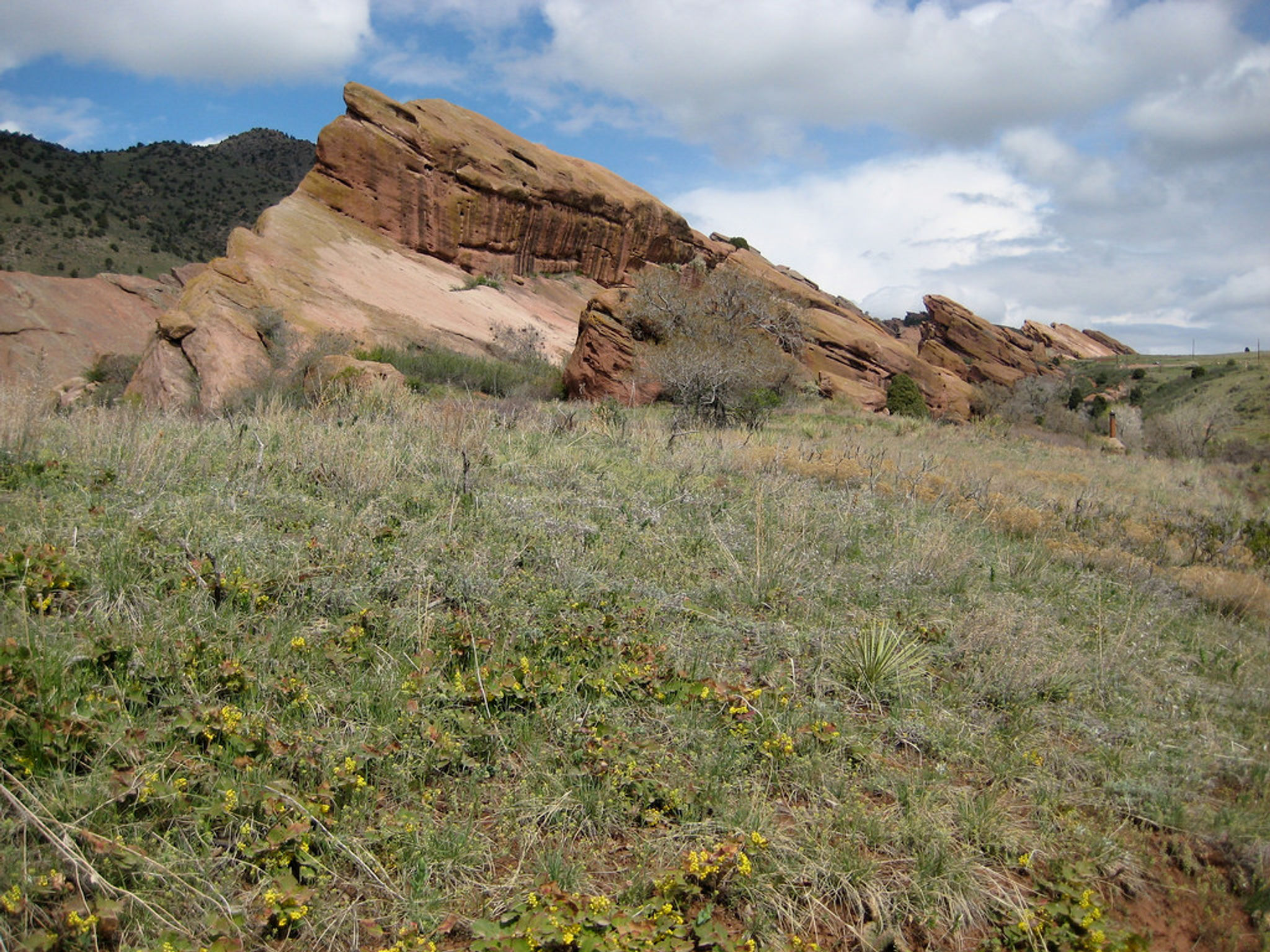 "Red Rocks Amphitheatre, Denver"