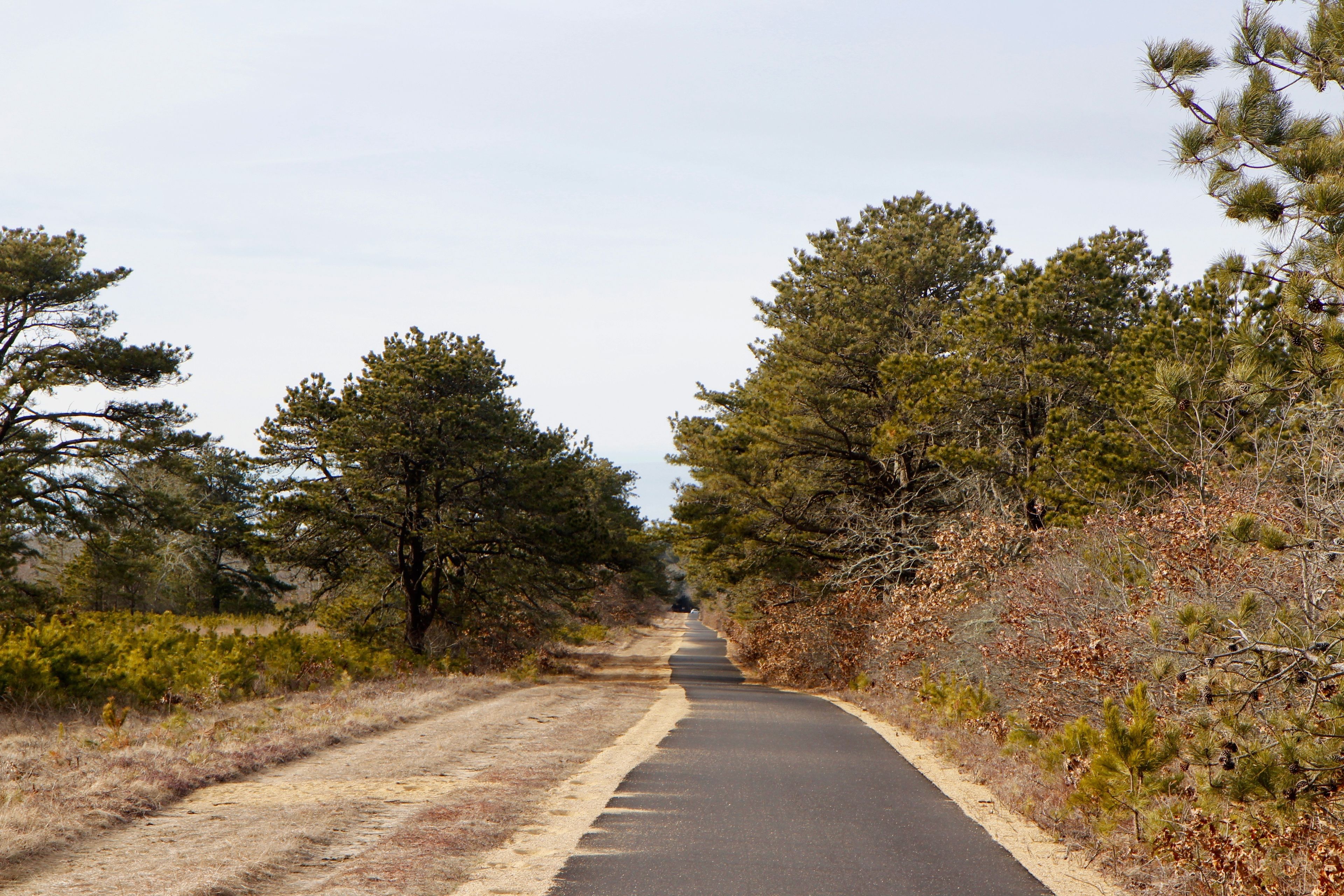 paved and unpaved paths side by side