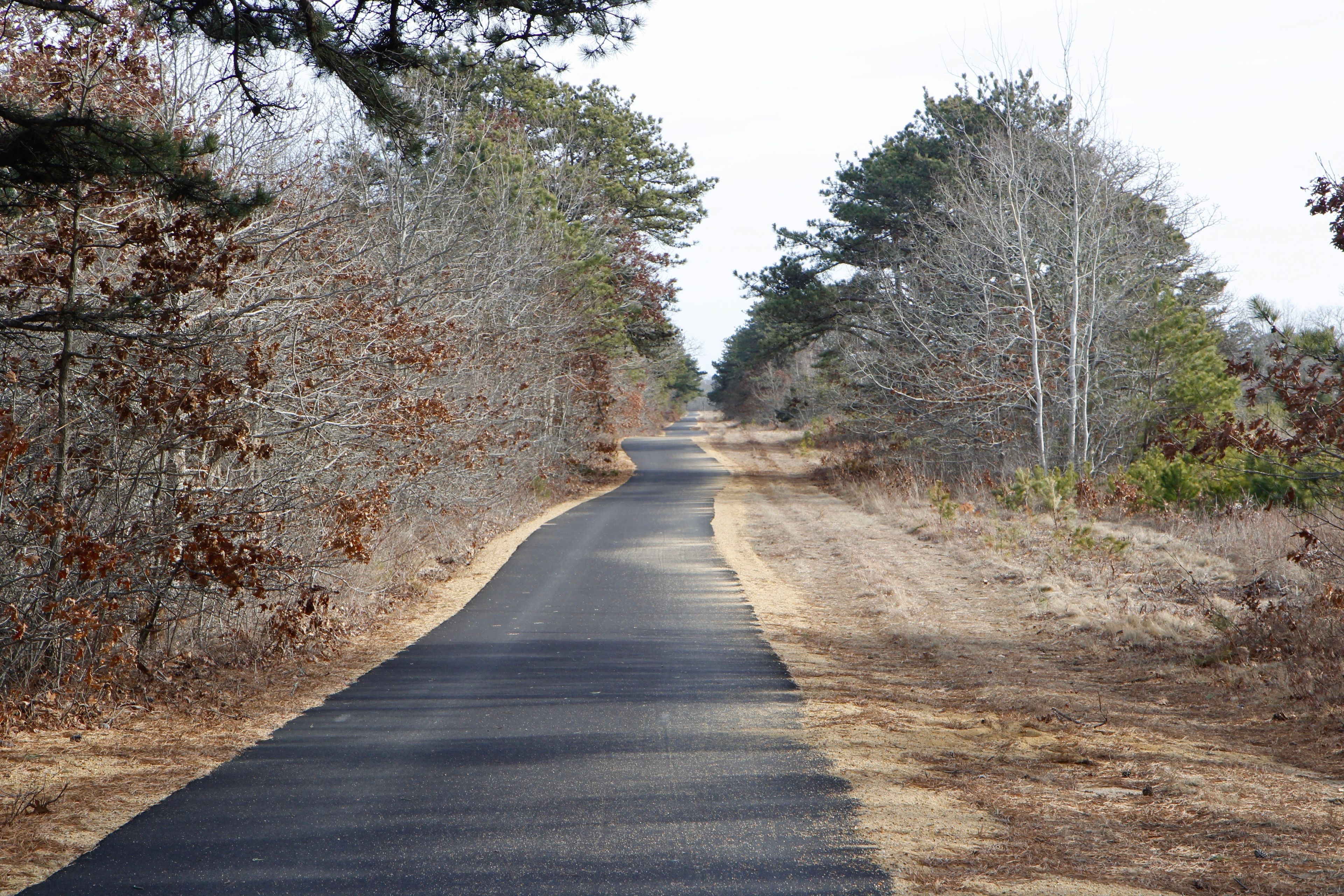 near Old County Road parking area