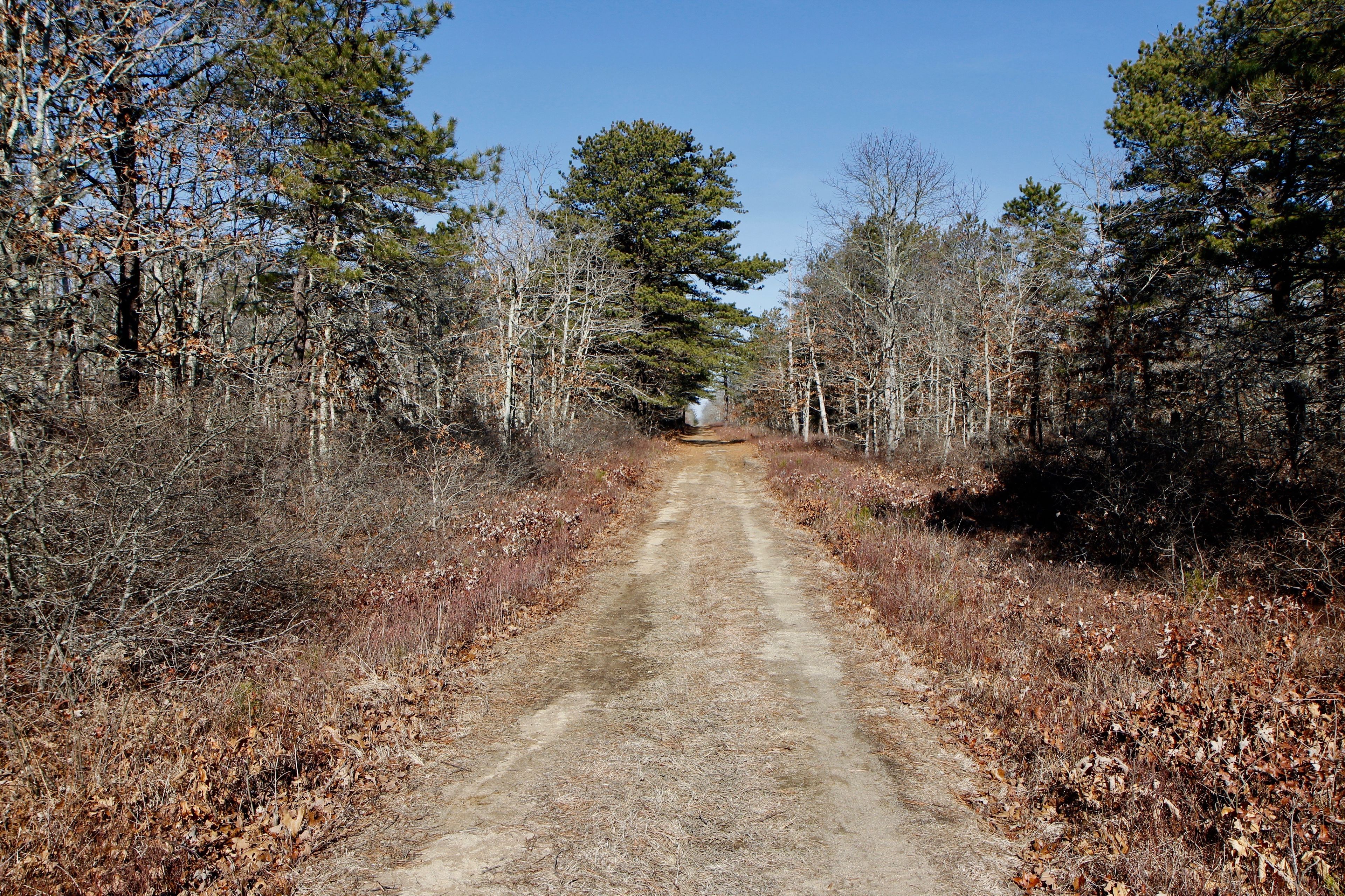 unpaved fire trail