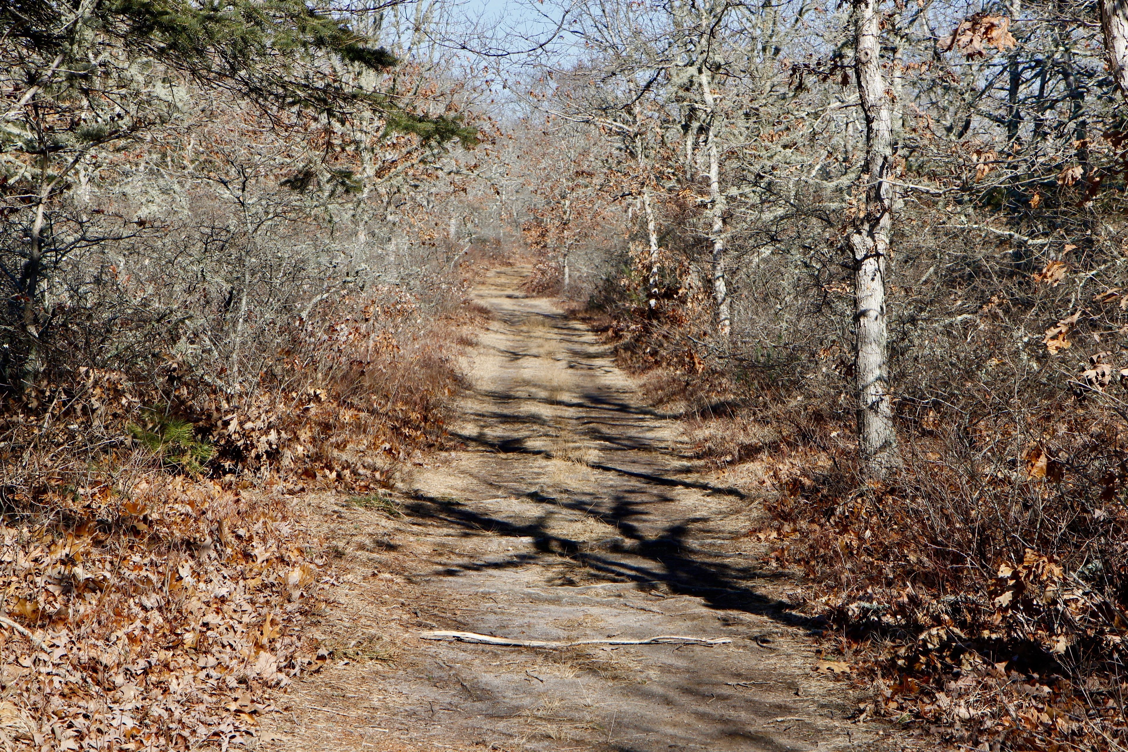 near Fire Trail B intersection