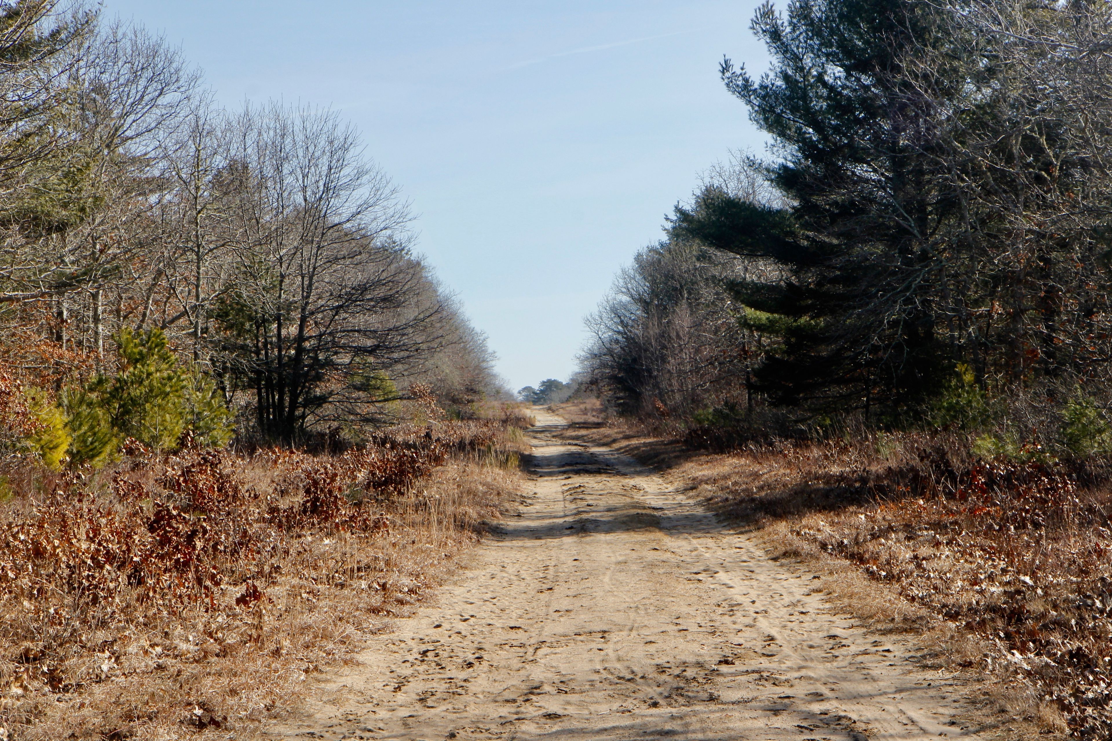 sandy unpaved fire trail