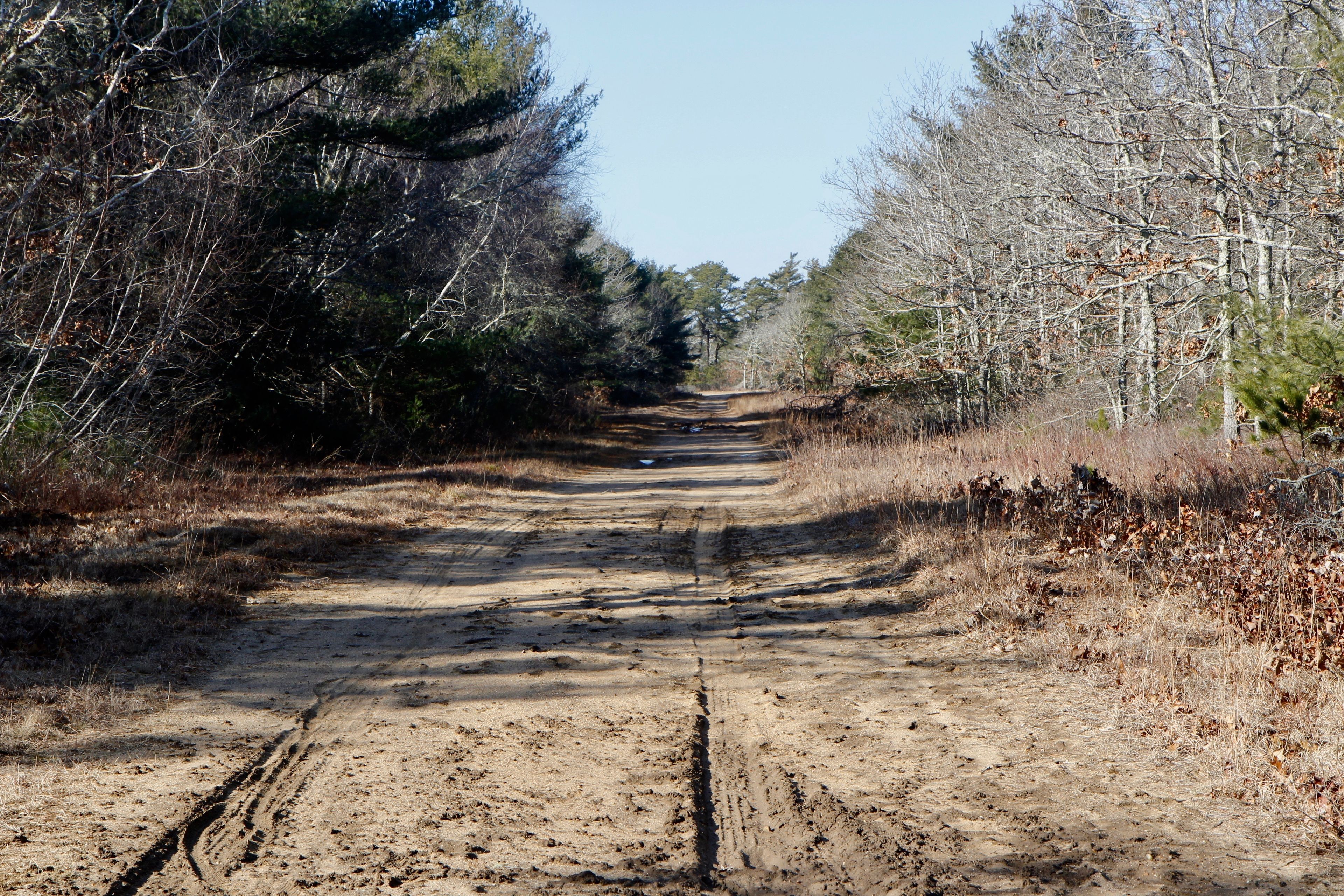 sandy unpaved fire trail