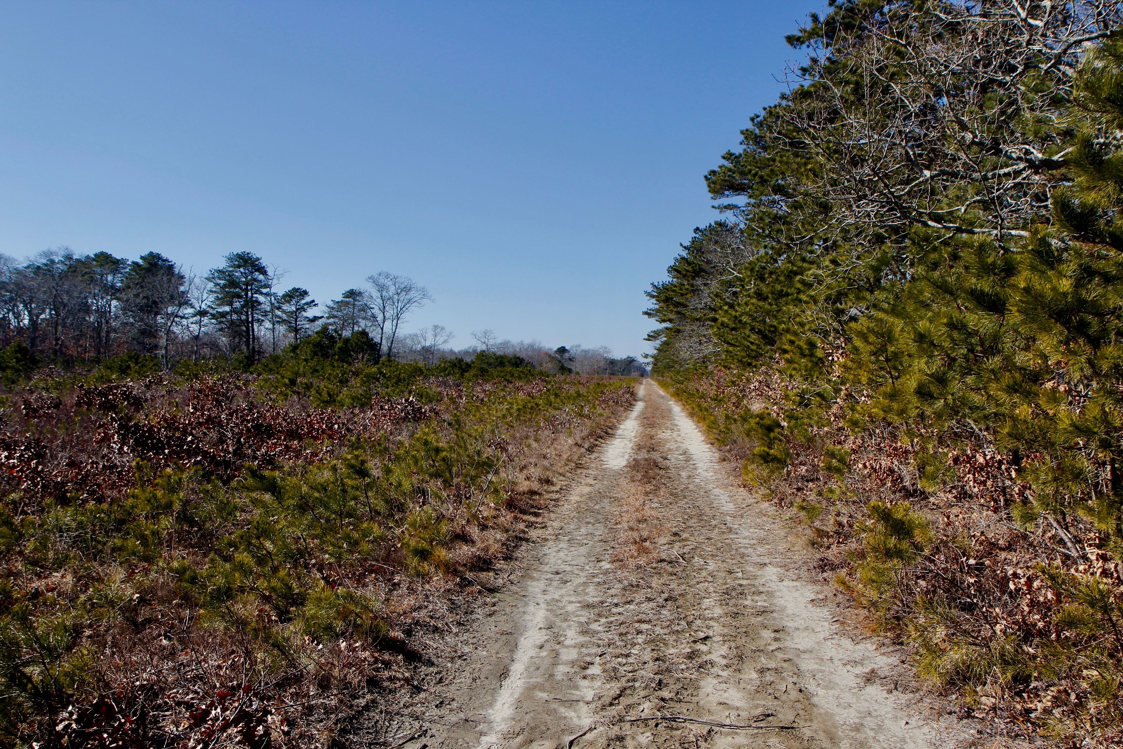 unpaved fire trail