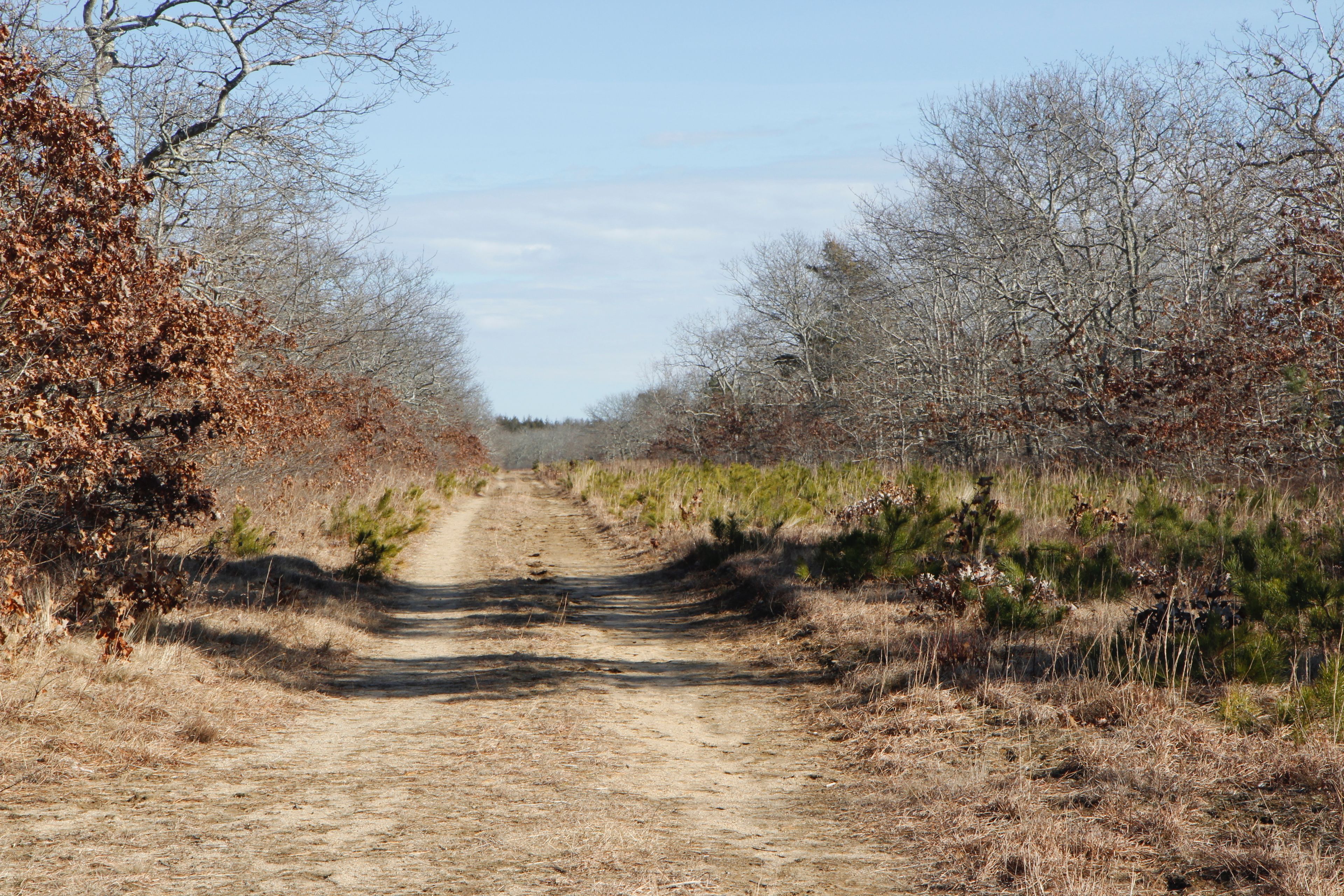 east of Barnes Road