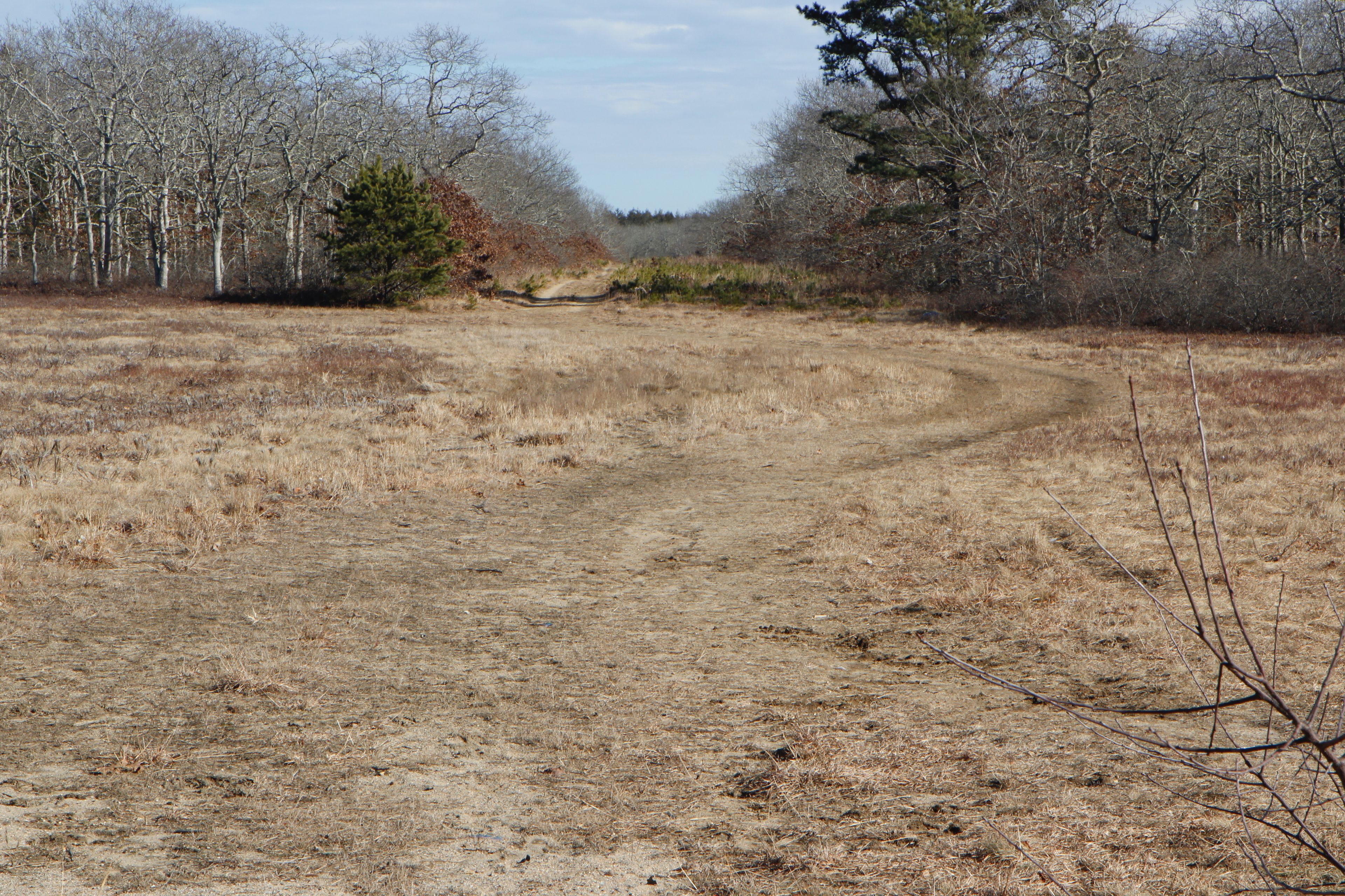 east of Barnes Road