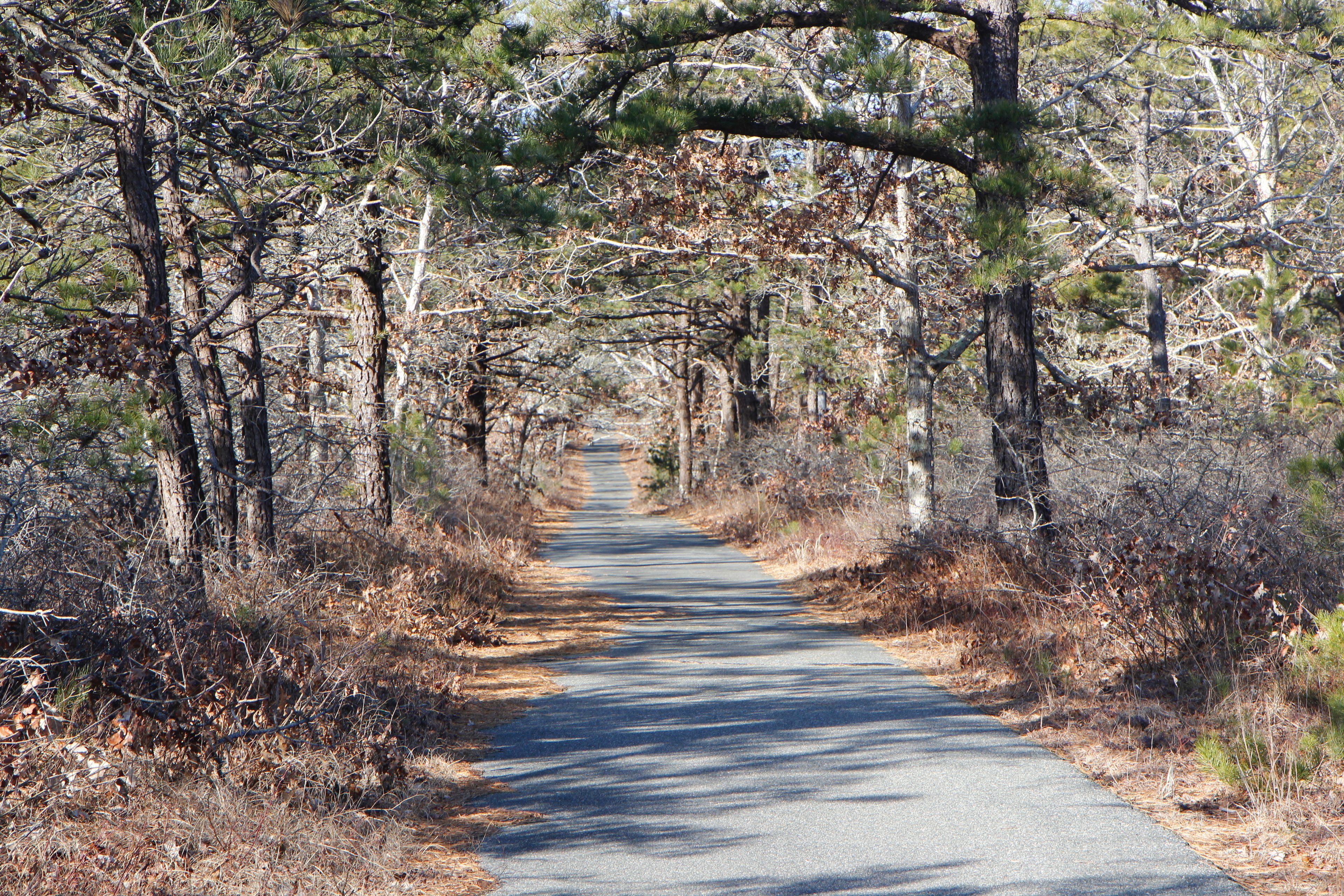 near intersection with Fire Trail 5