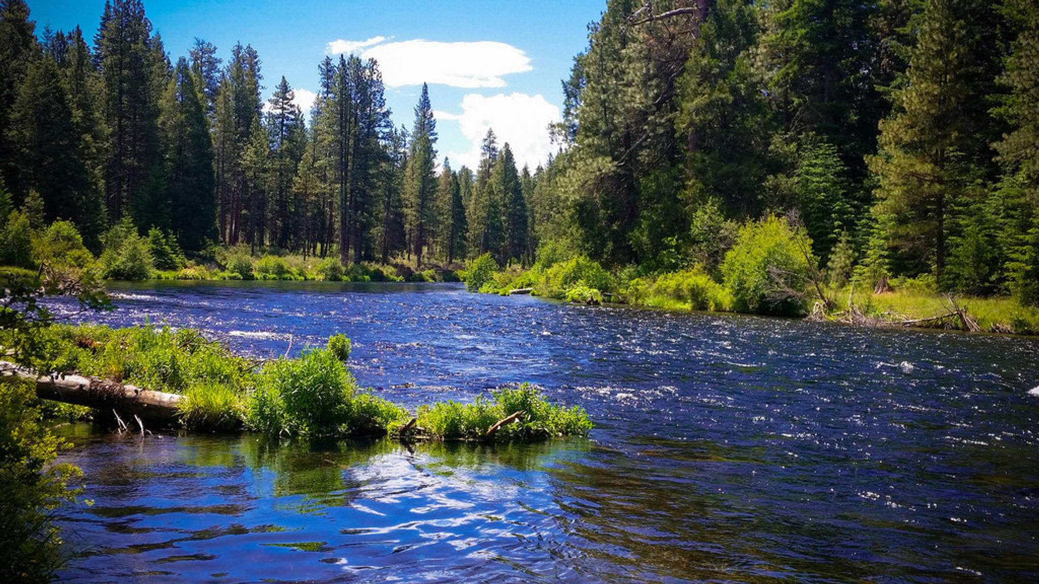 "Metolius River, Deschutes National Forest"