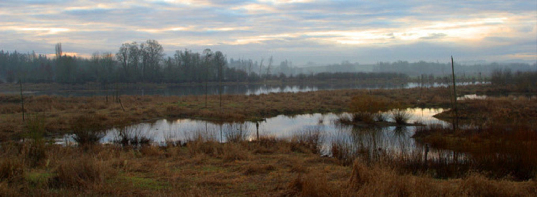 large_sub-wetlands.jpg