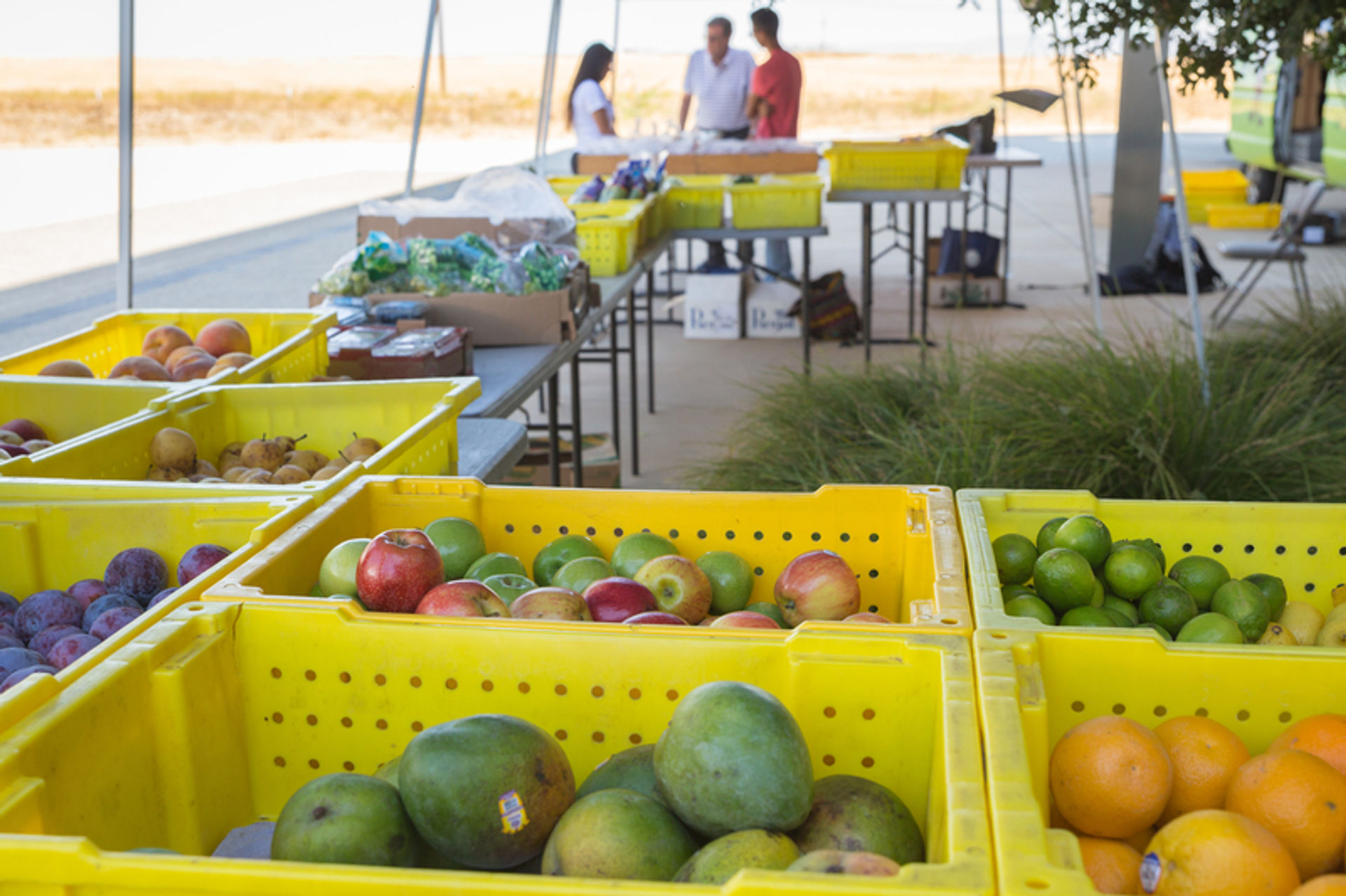 Produce on the Go is another option students seeking fresh food on campus.