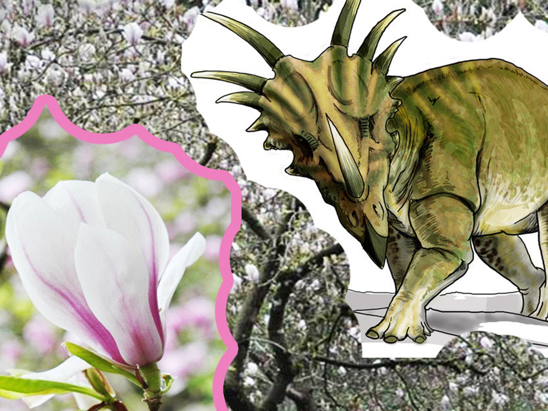 dinosaurs_and_trees_Magnolias_REV.jpeg