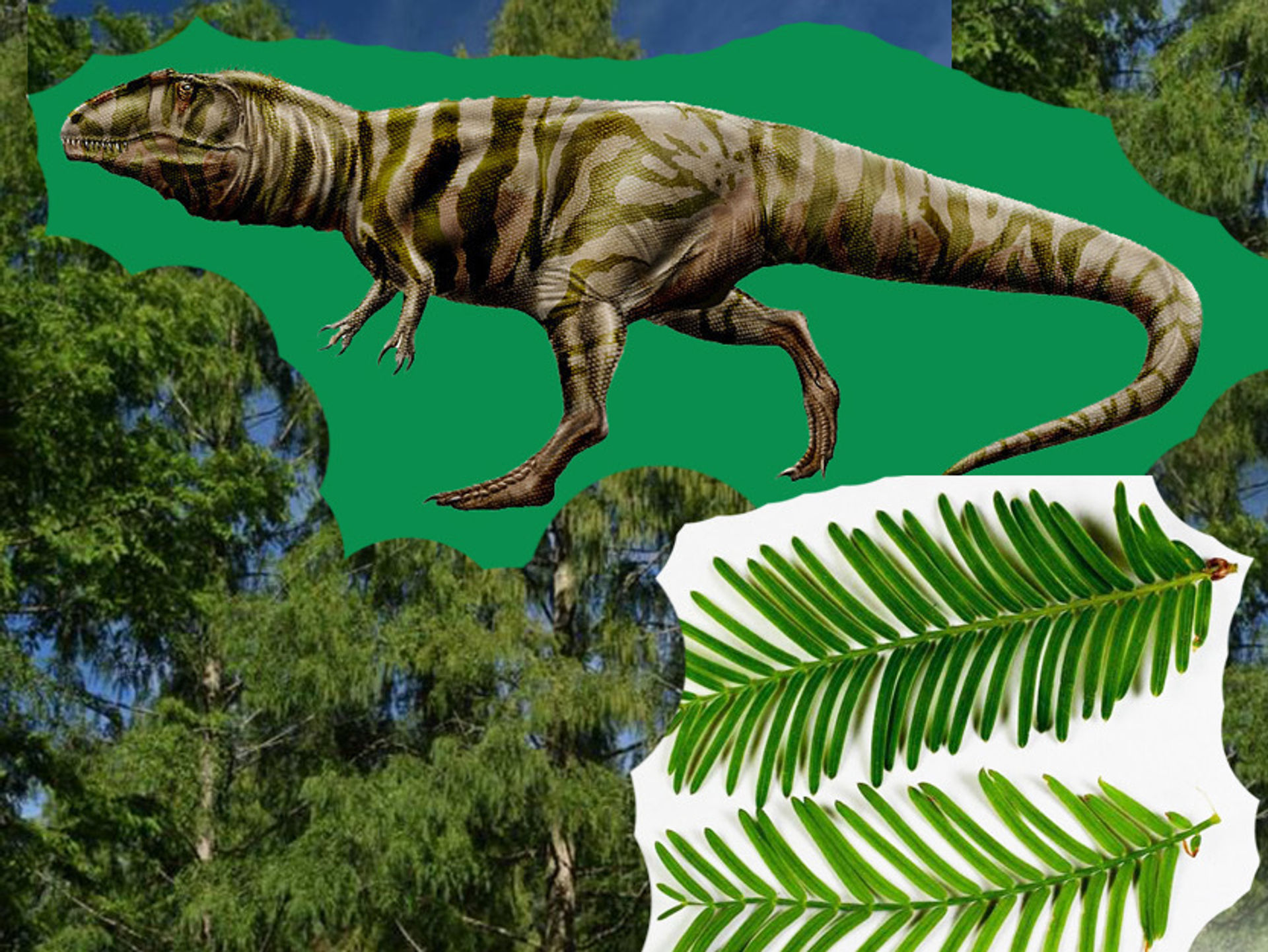 dinosaurs_and_trees_redwood_REV.jpeg