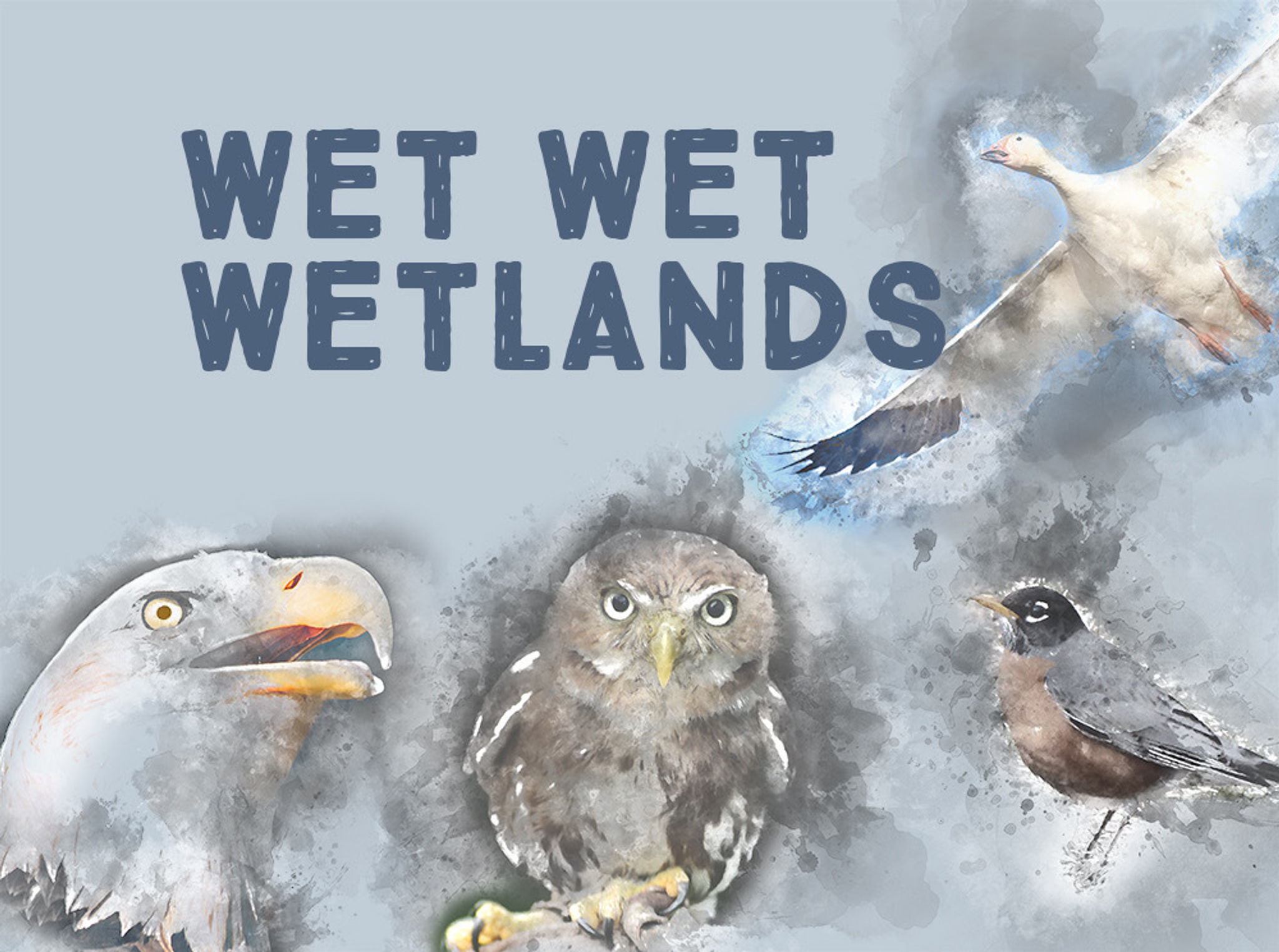 WET_WET_WETLANDS.jpeg