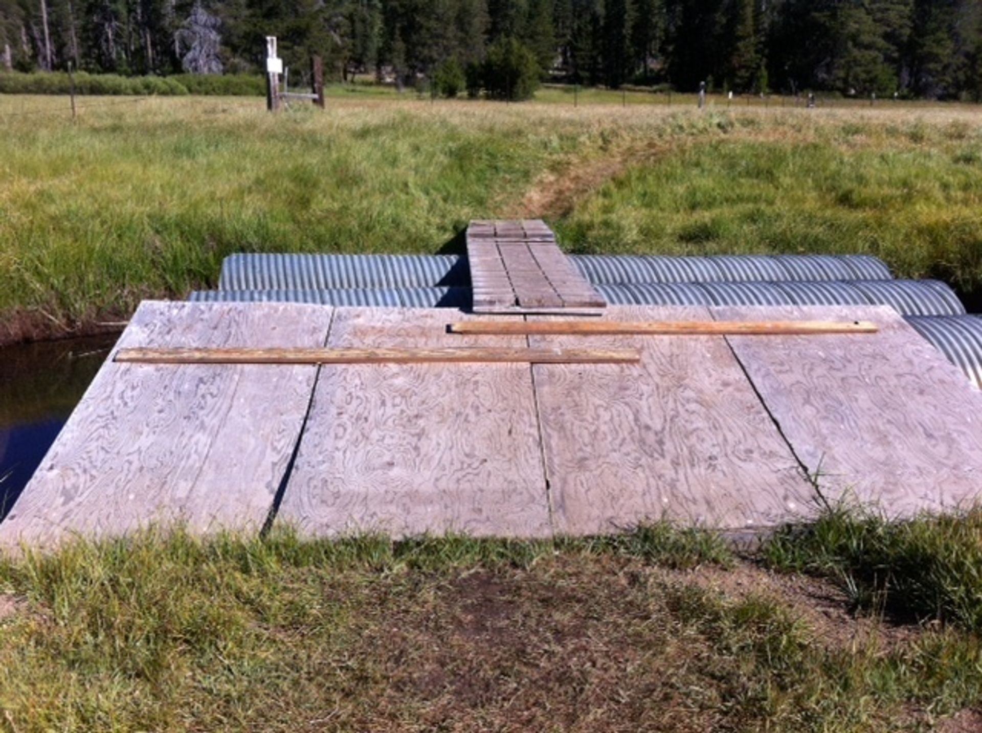 2Coyote-crossing-culverts-2016.JPG