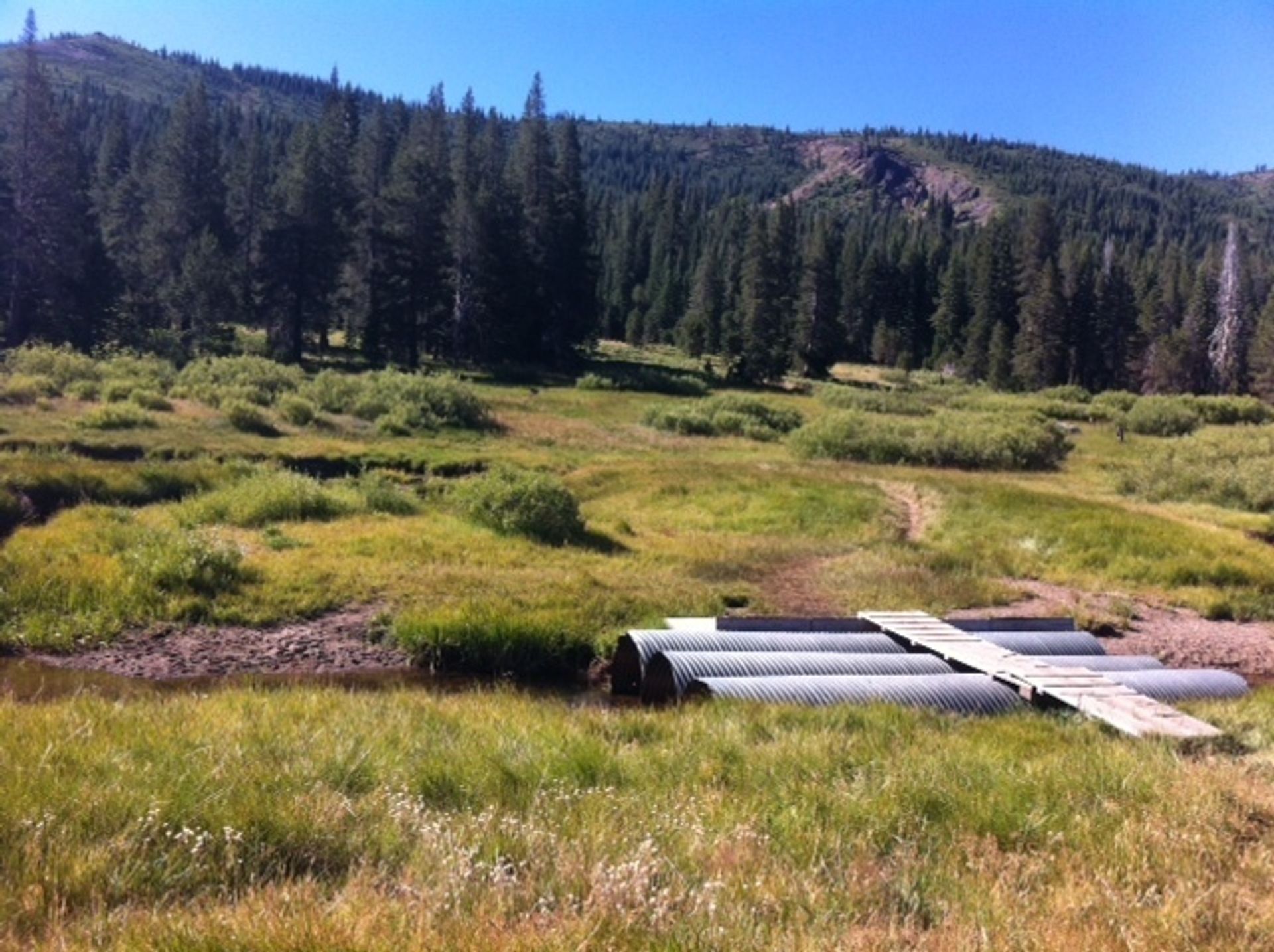 3Coyote-Crossing-Culverts-2016.JPG