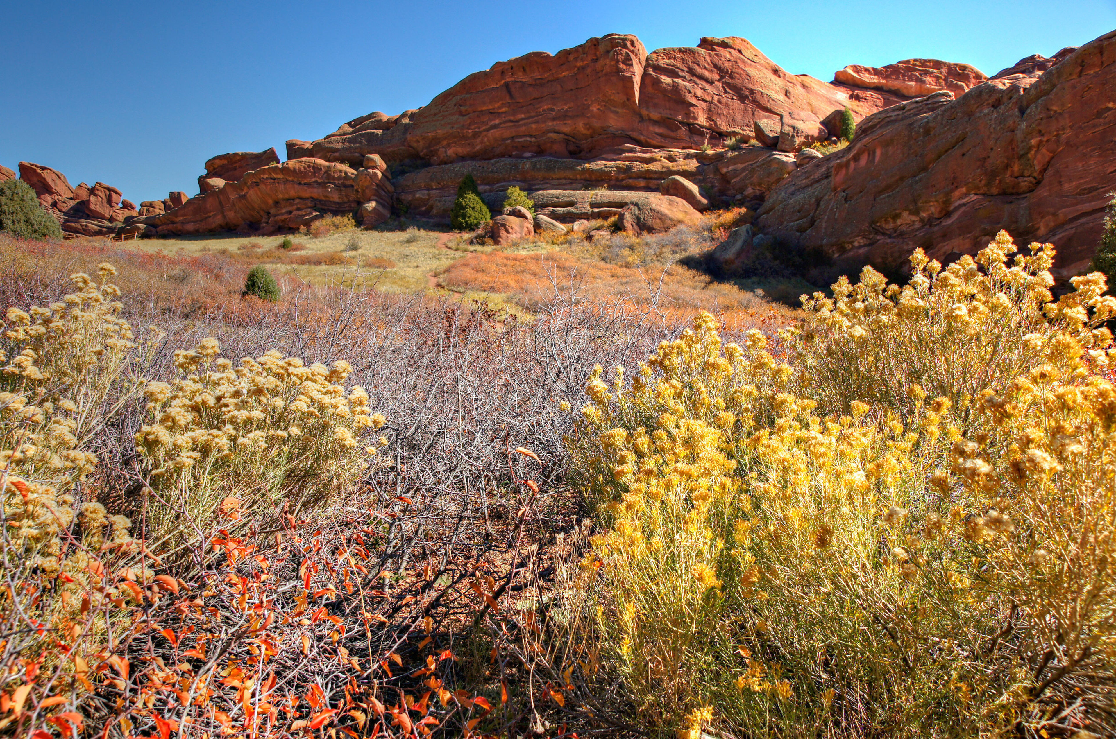 Bright afternoon Colorado sunshine lights up Red Rocks Park as seen from the Trading Post Trail. These formations are part of Red Rocks Park and Amphitheater, Morrison Colorado.