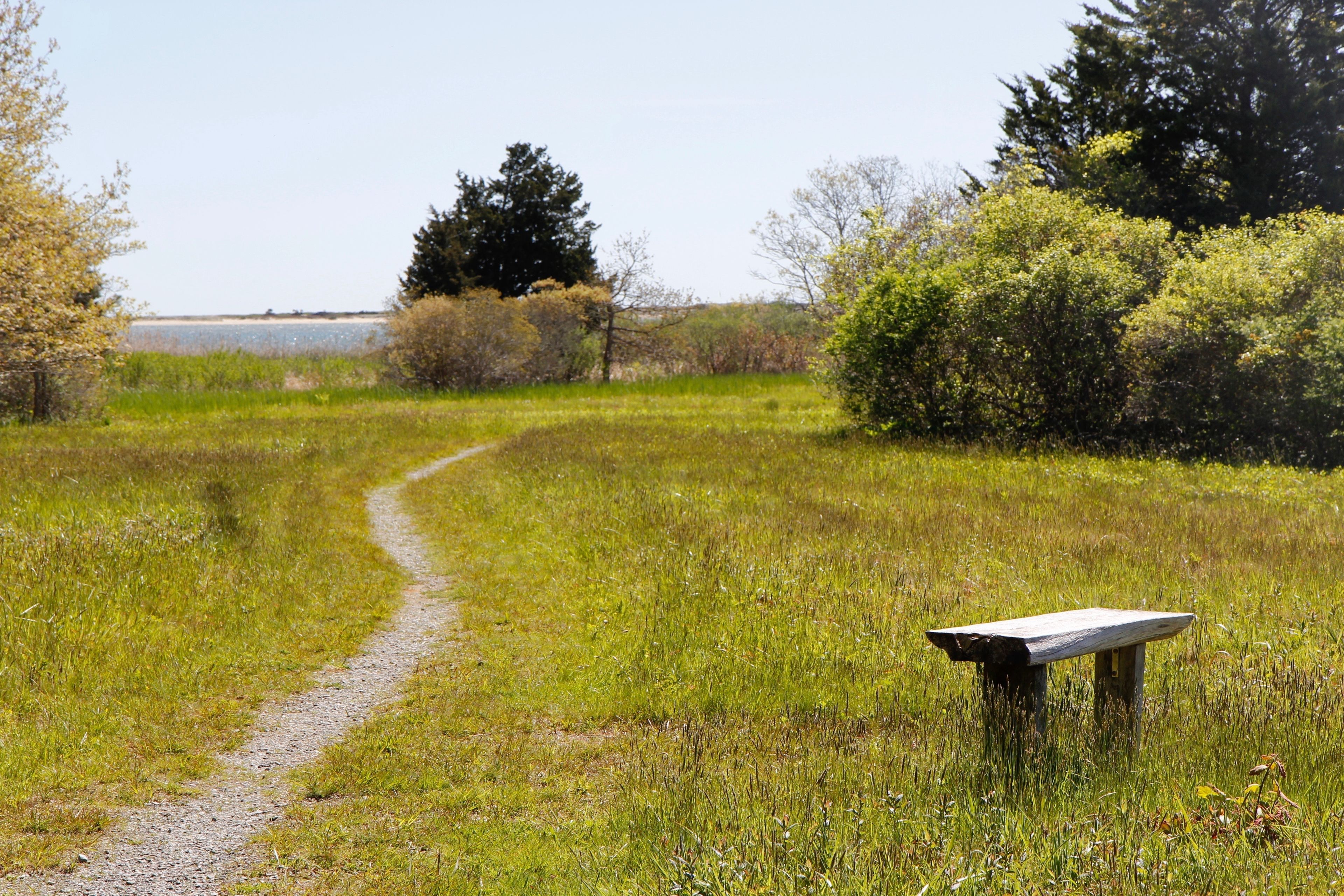 bench looking towards Sengegontacket