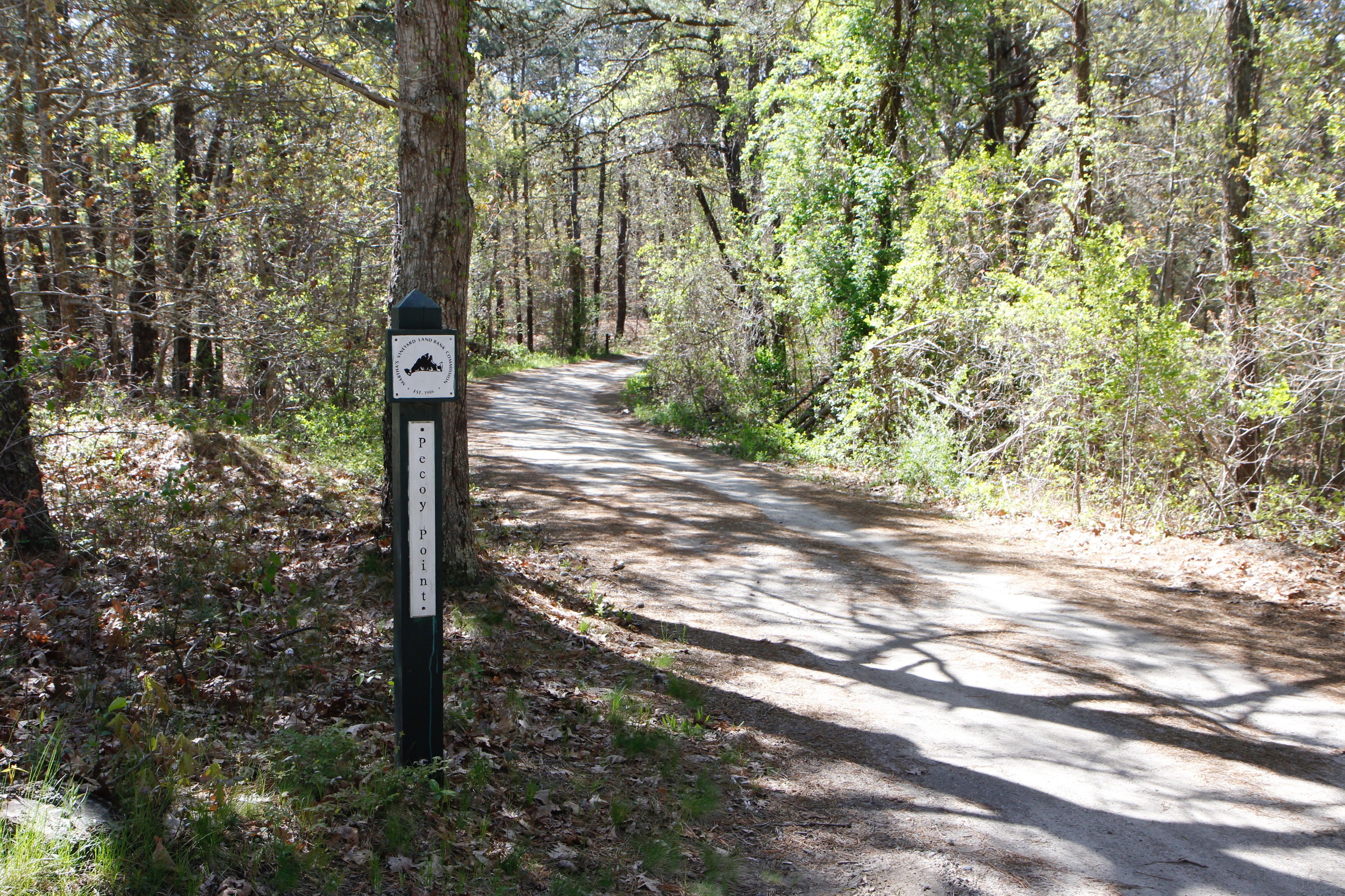 trail sign at right hand turn off Pulpit Rock Road