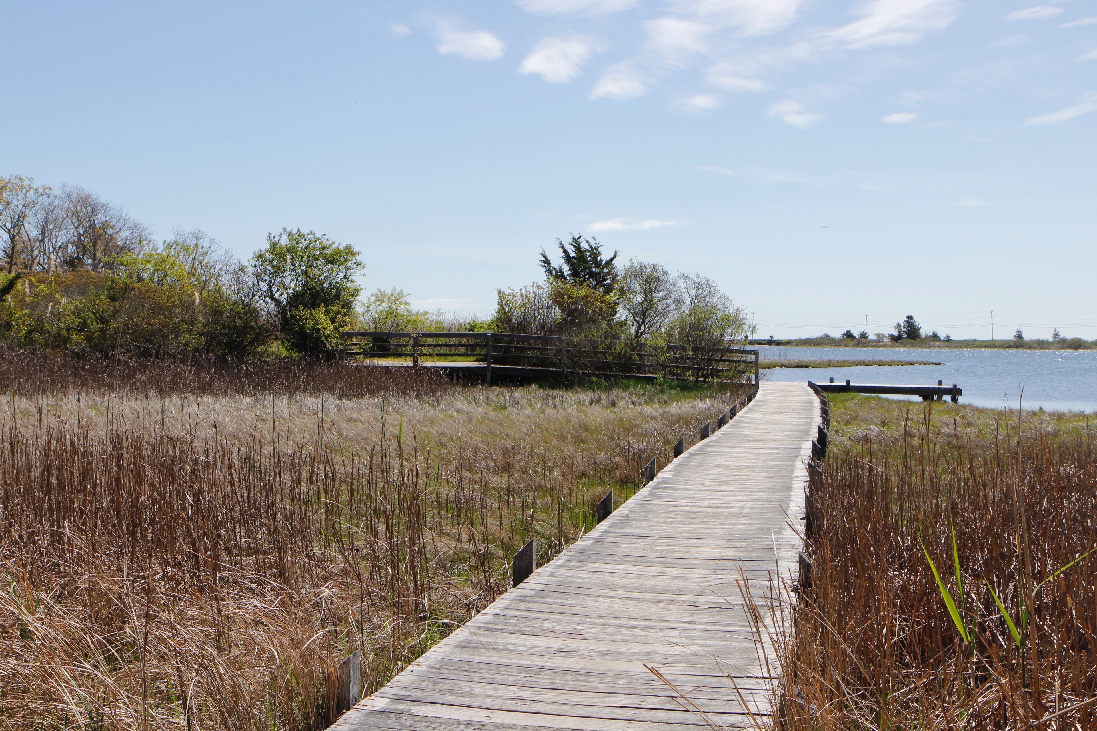 boardwalk from trail towards Farm Pond