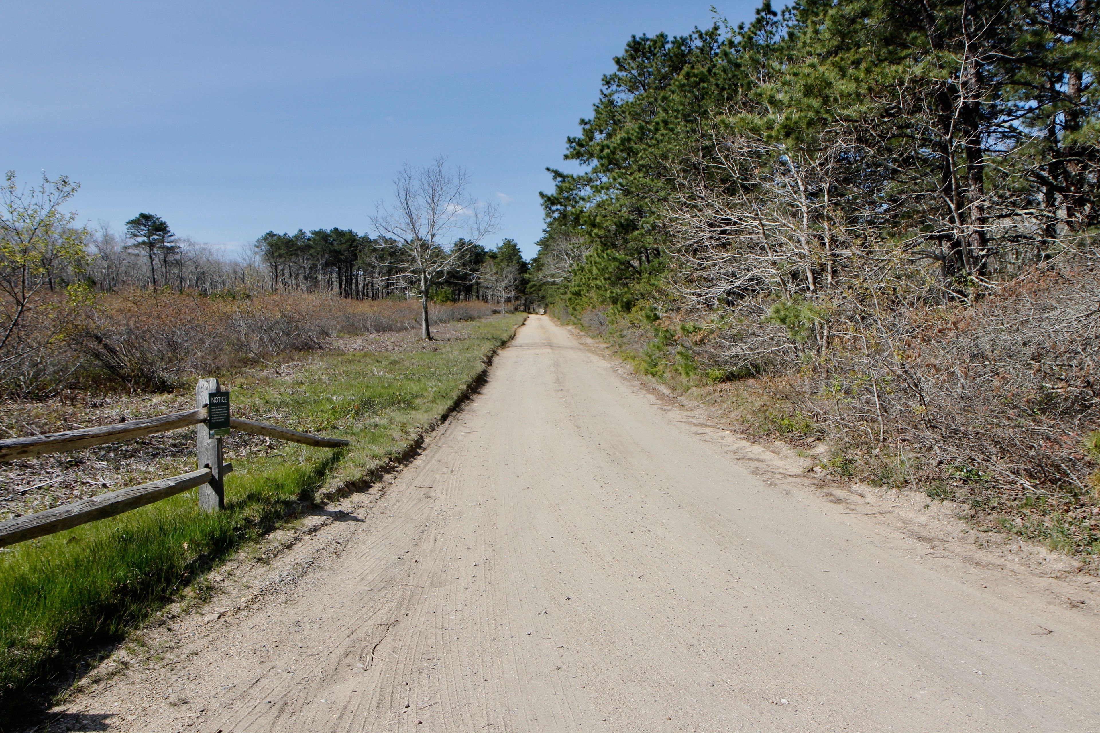 Thumb Point Road