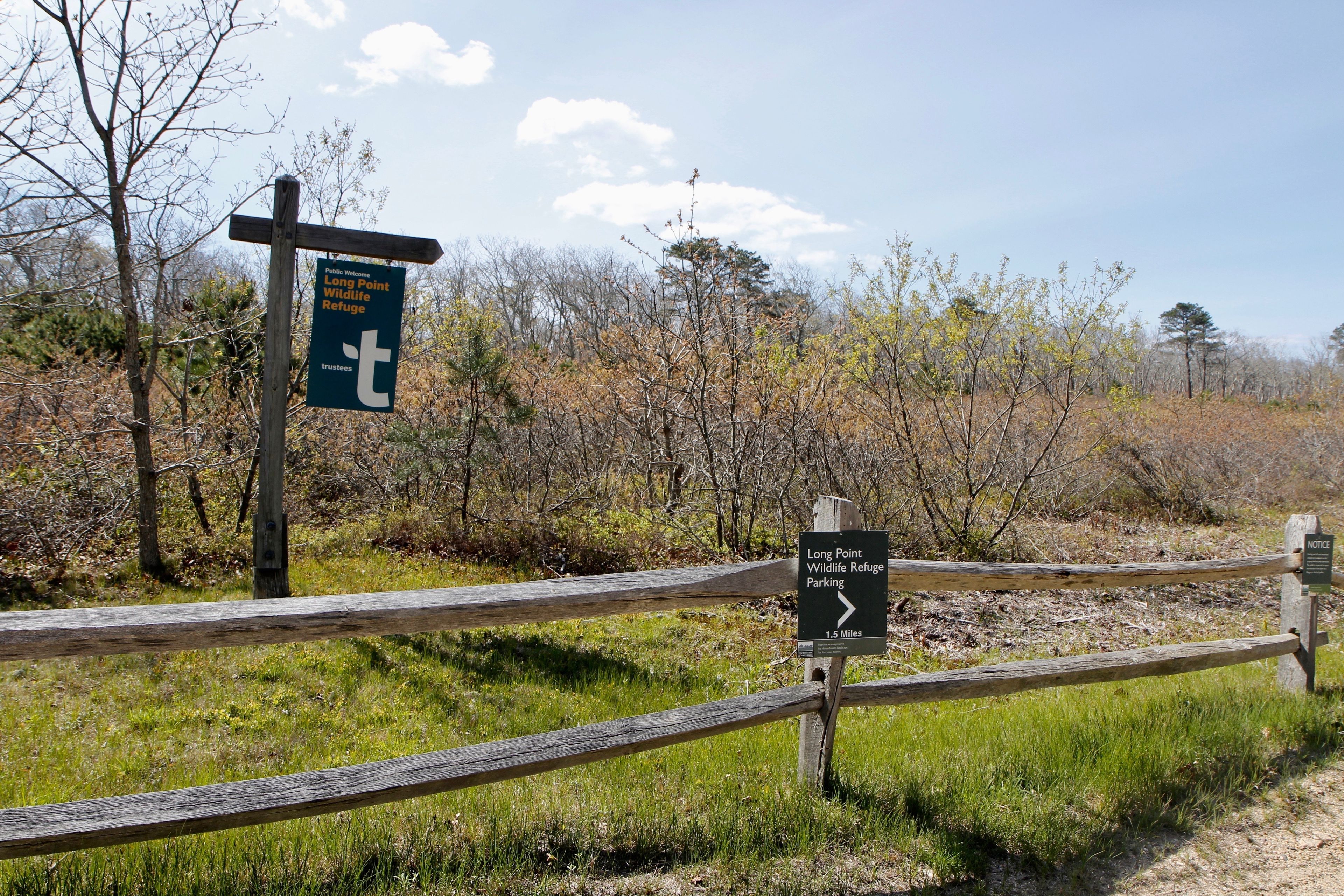 signs at turn for Thumb Point Road