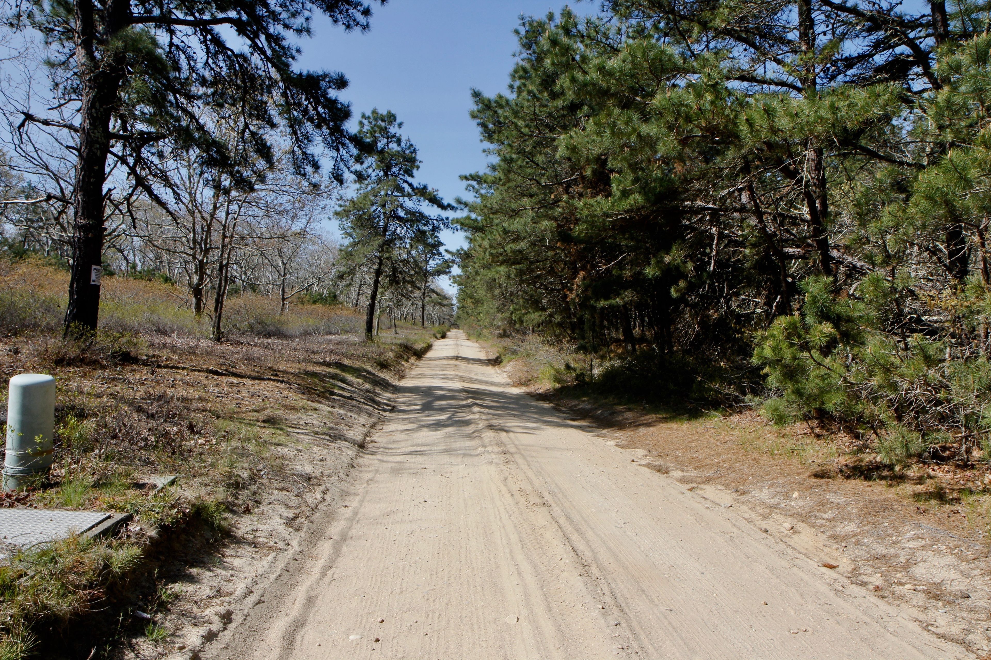 Thumb Point Cove Road