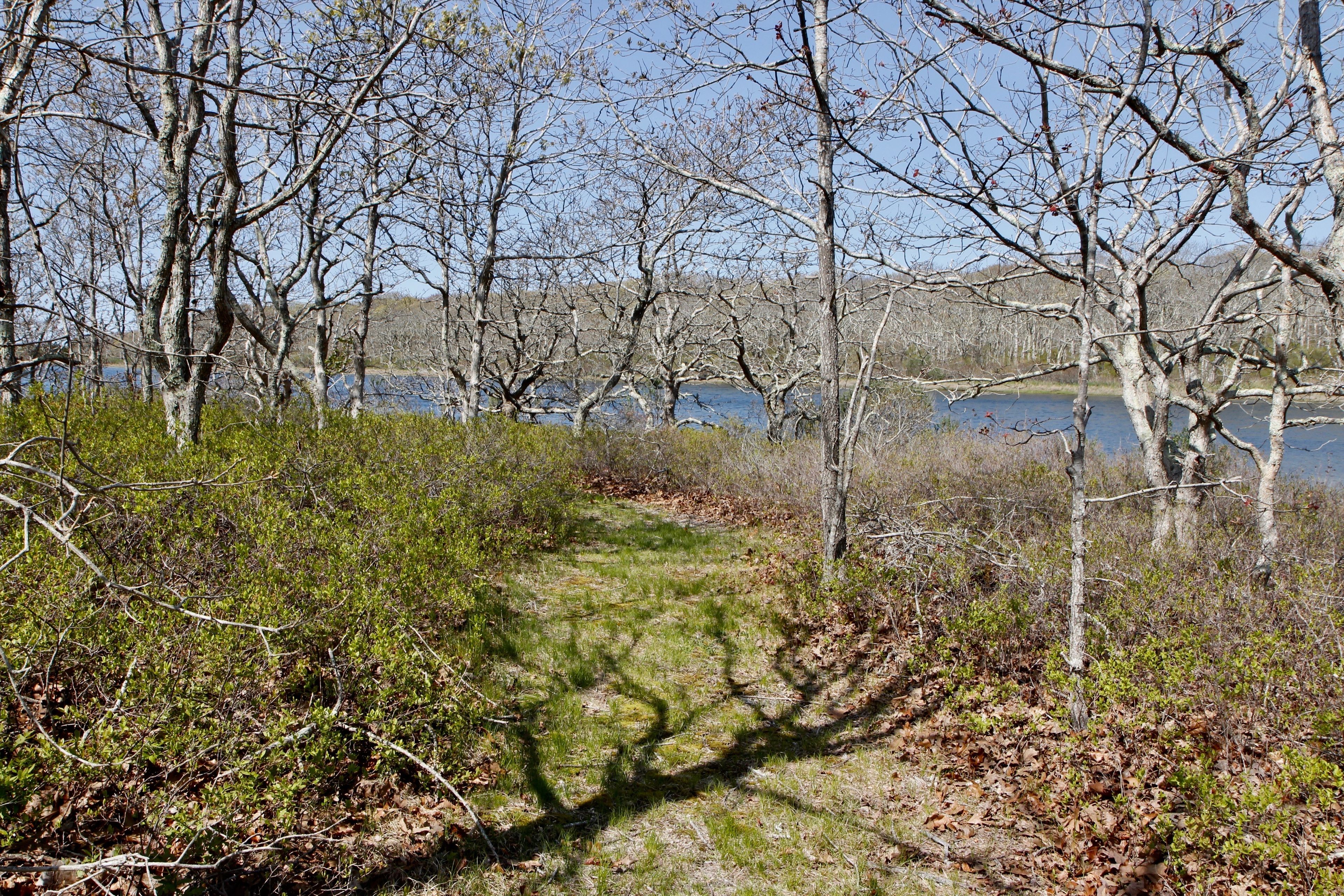 views of Middle Point Cove