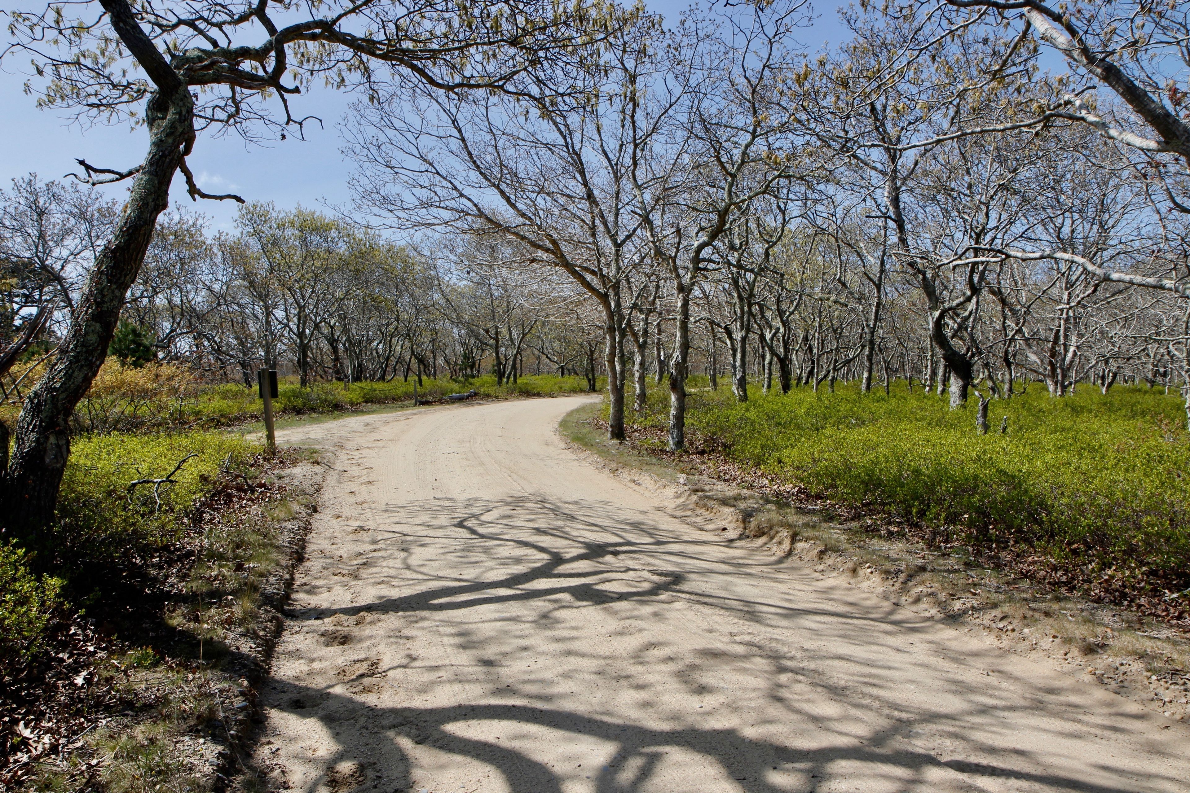 Long Point Road