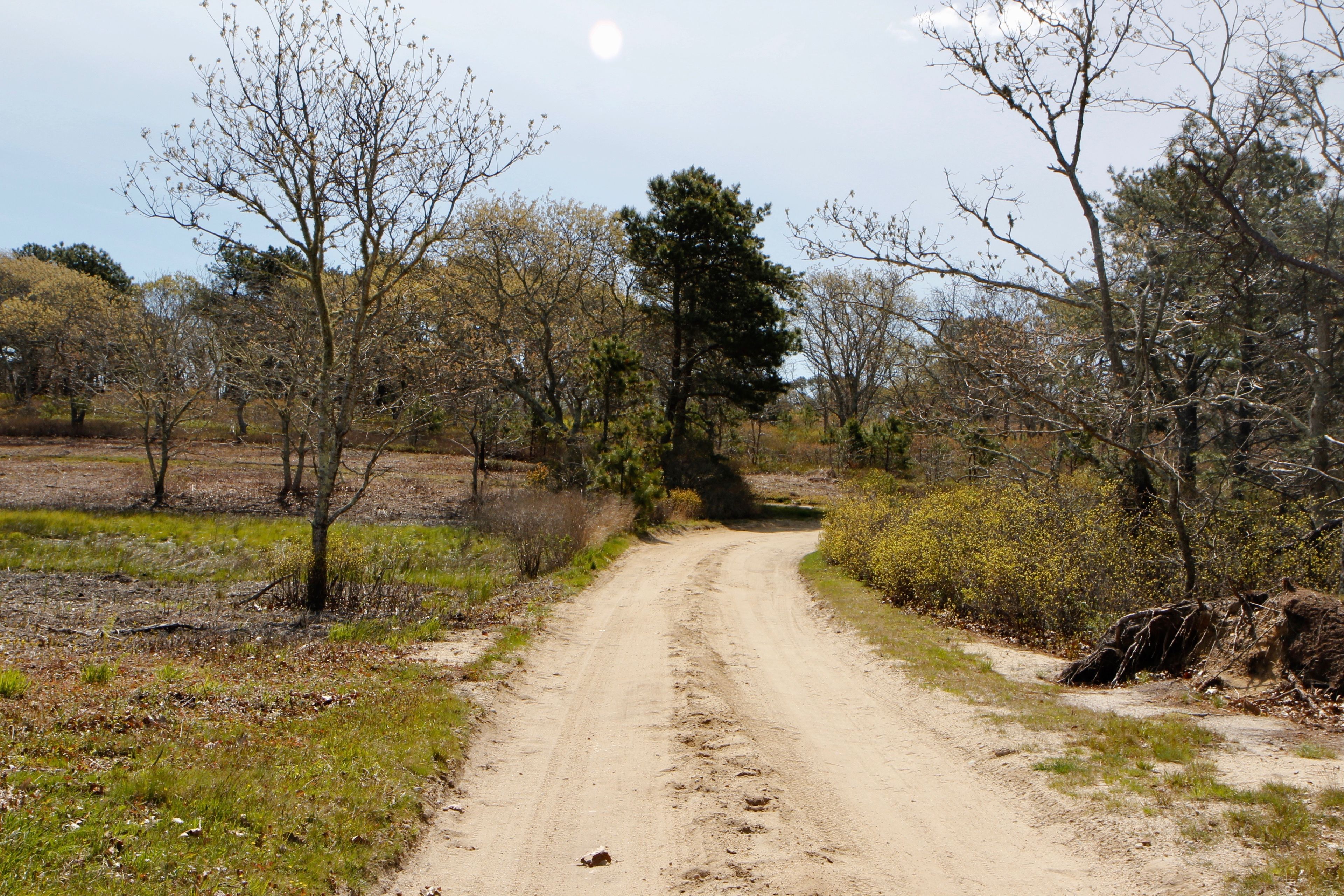 Long Point Road