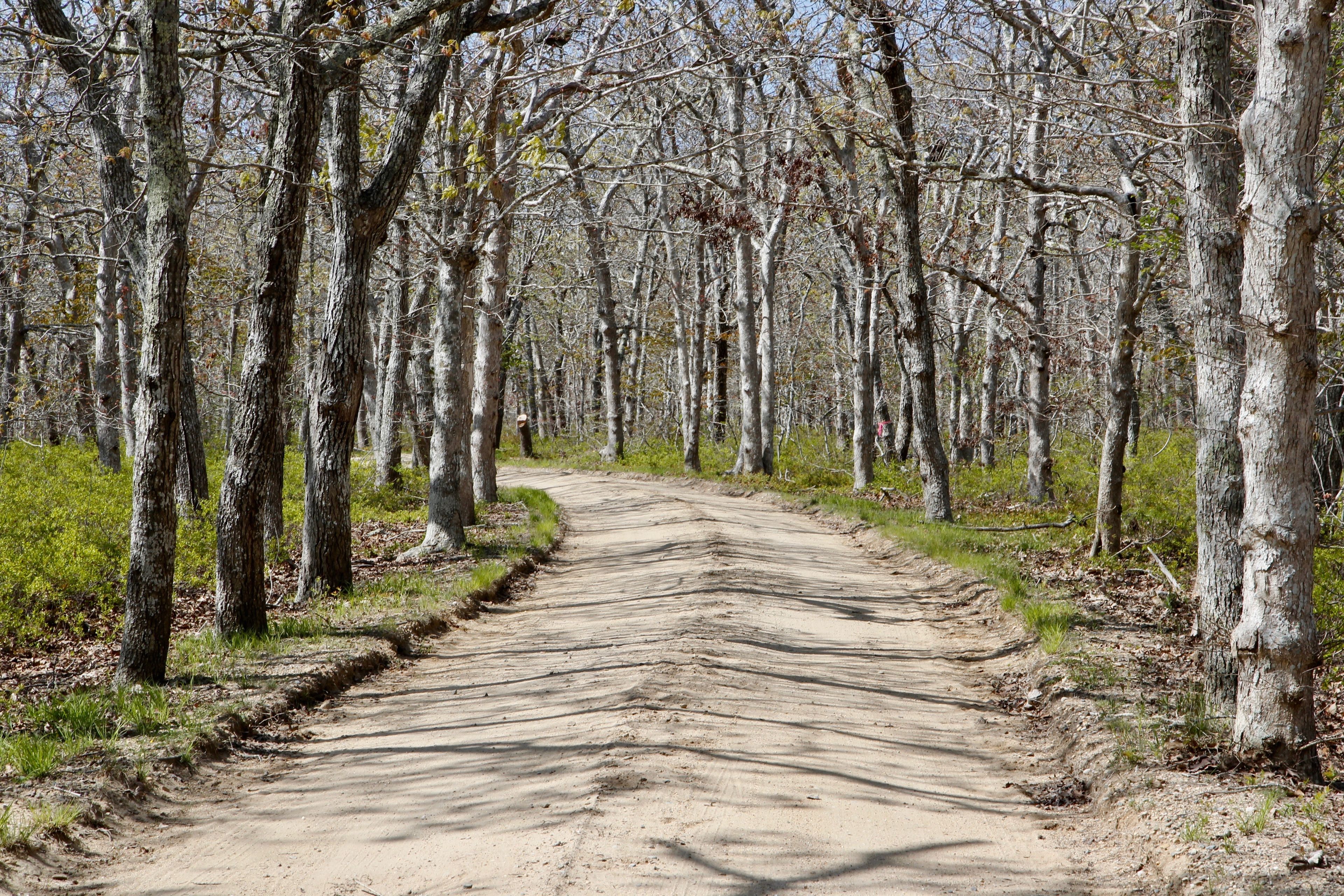 Long Point Road