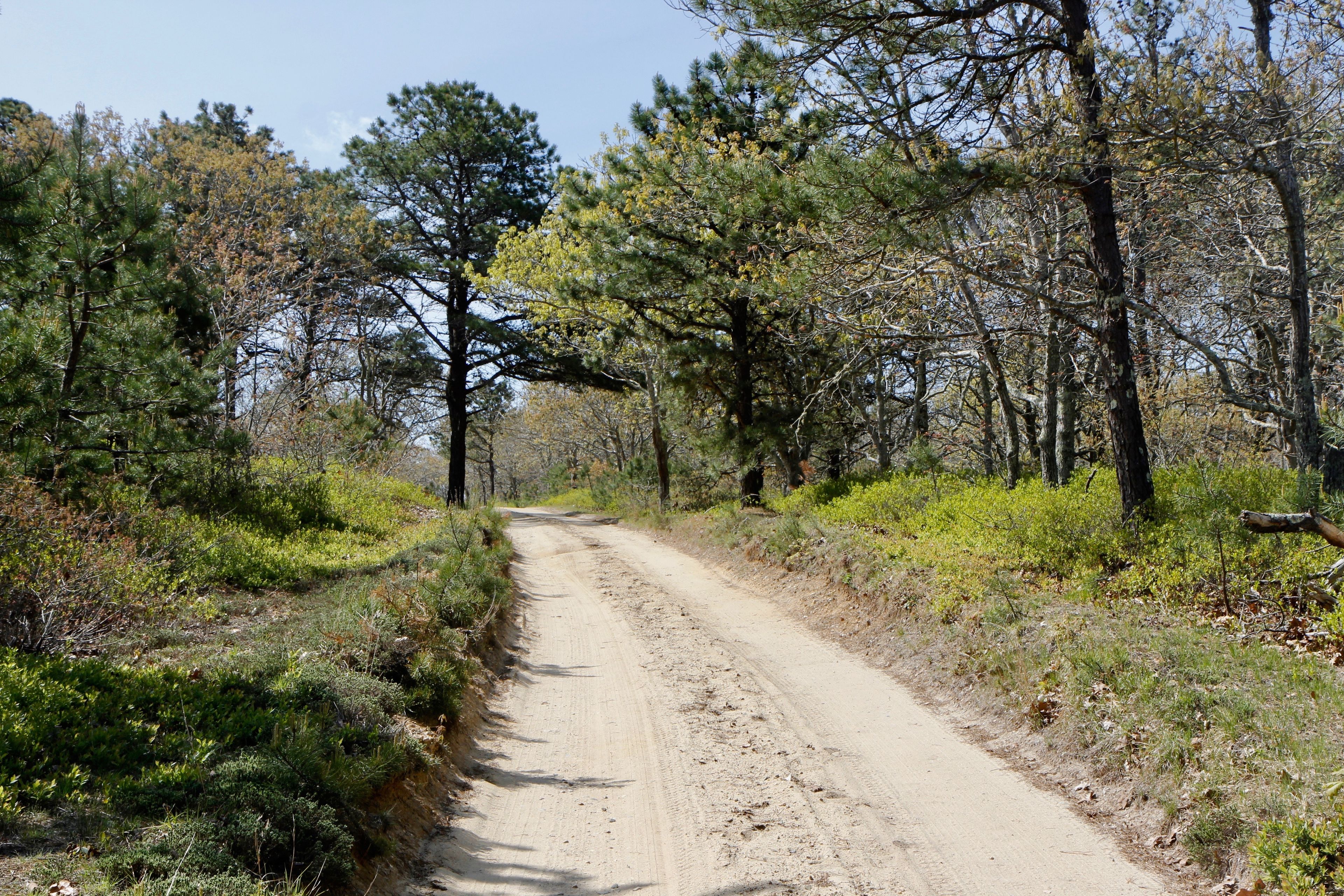 Long Point Road