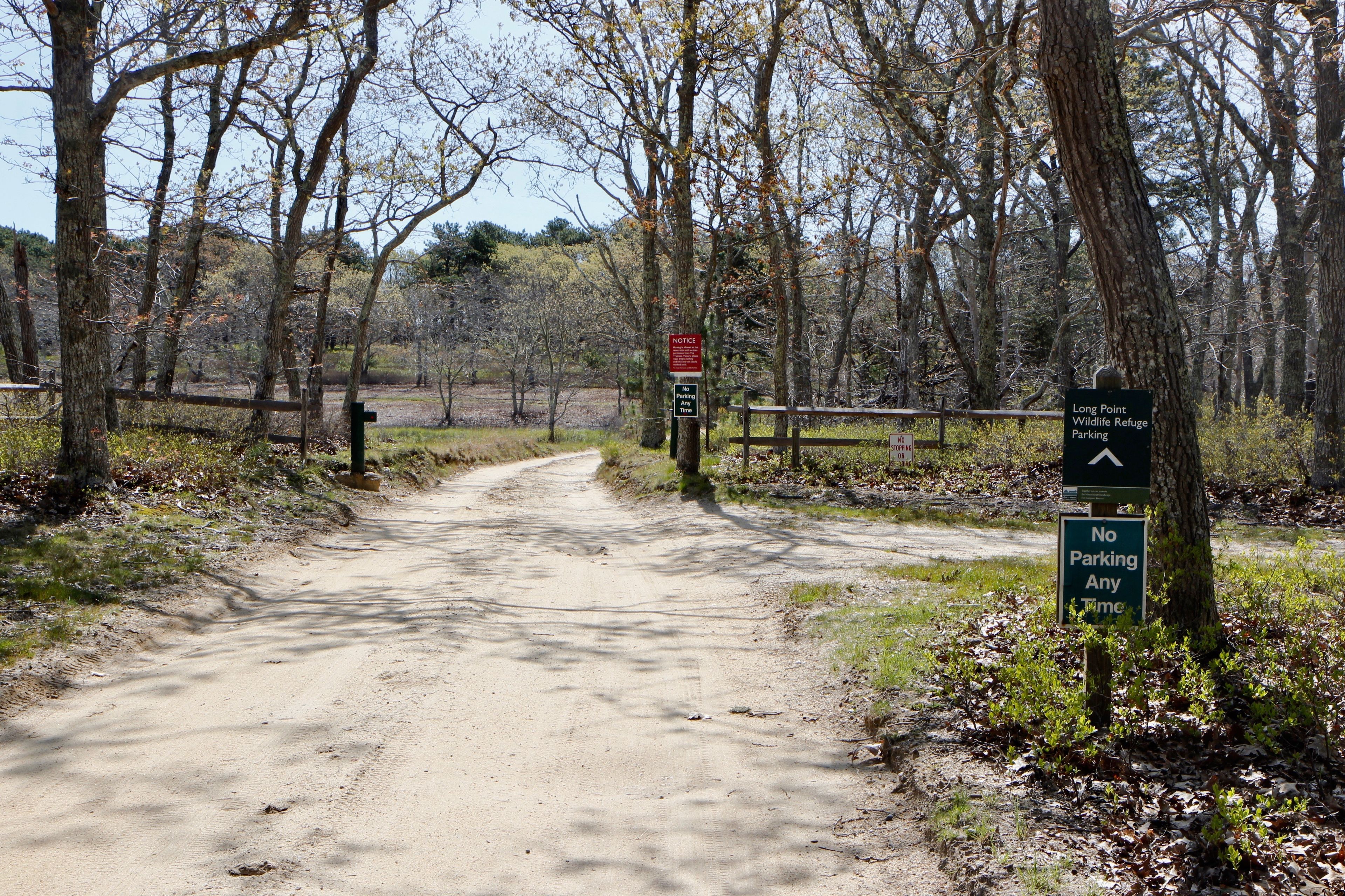 Winter Entrance to Long Point Reservation