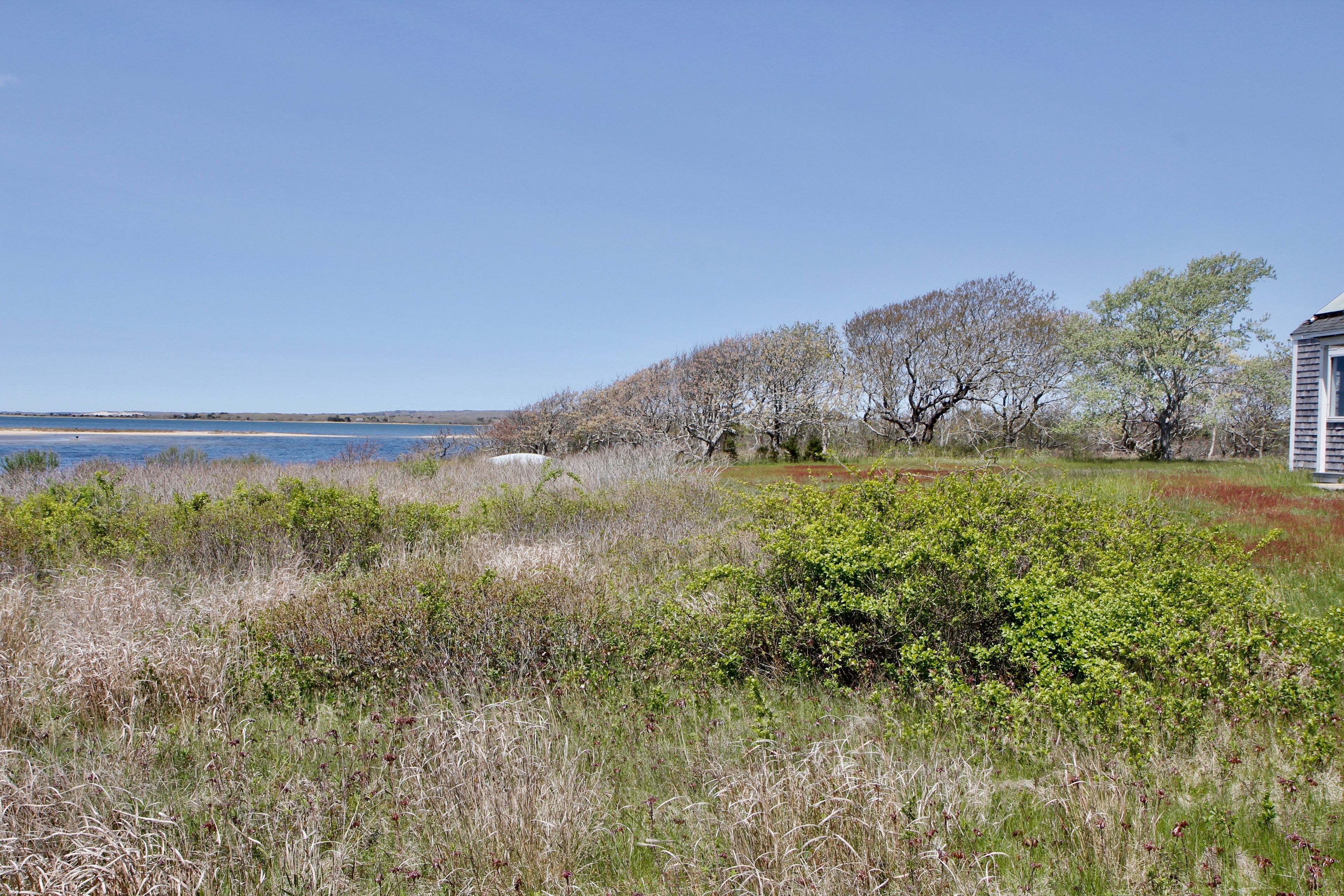 view out to Pond