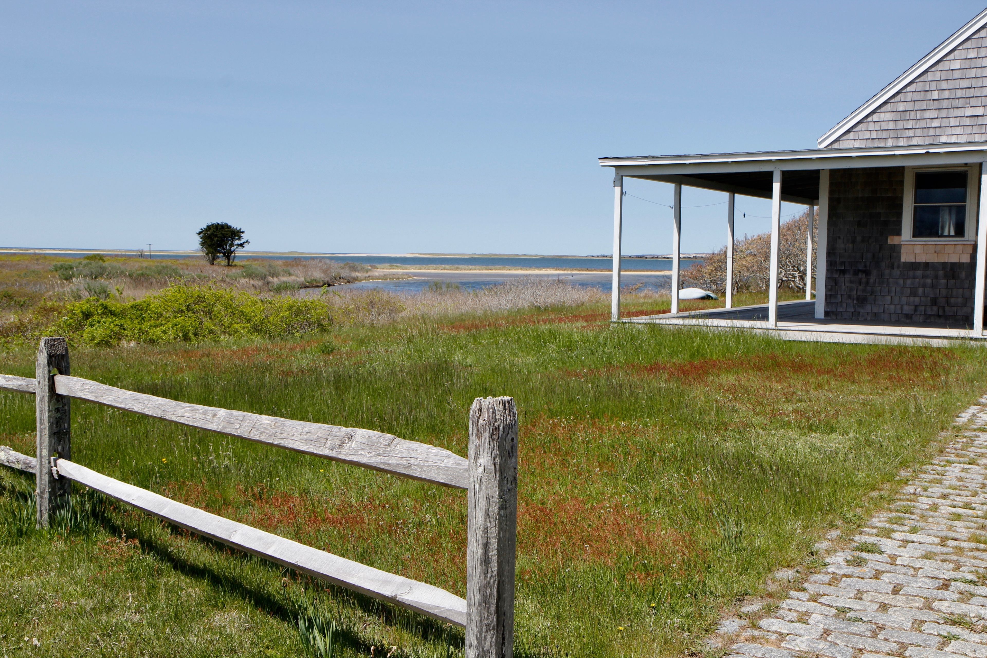 view out to Pond