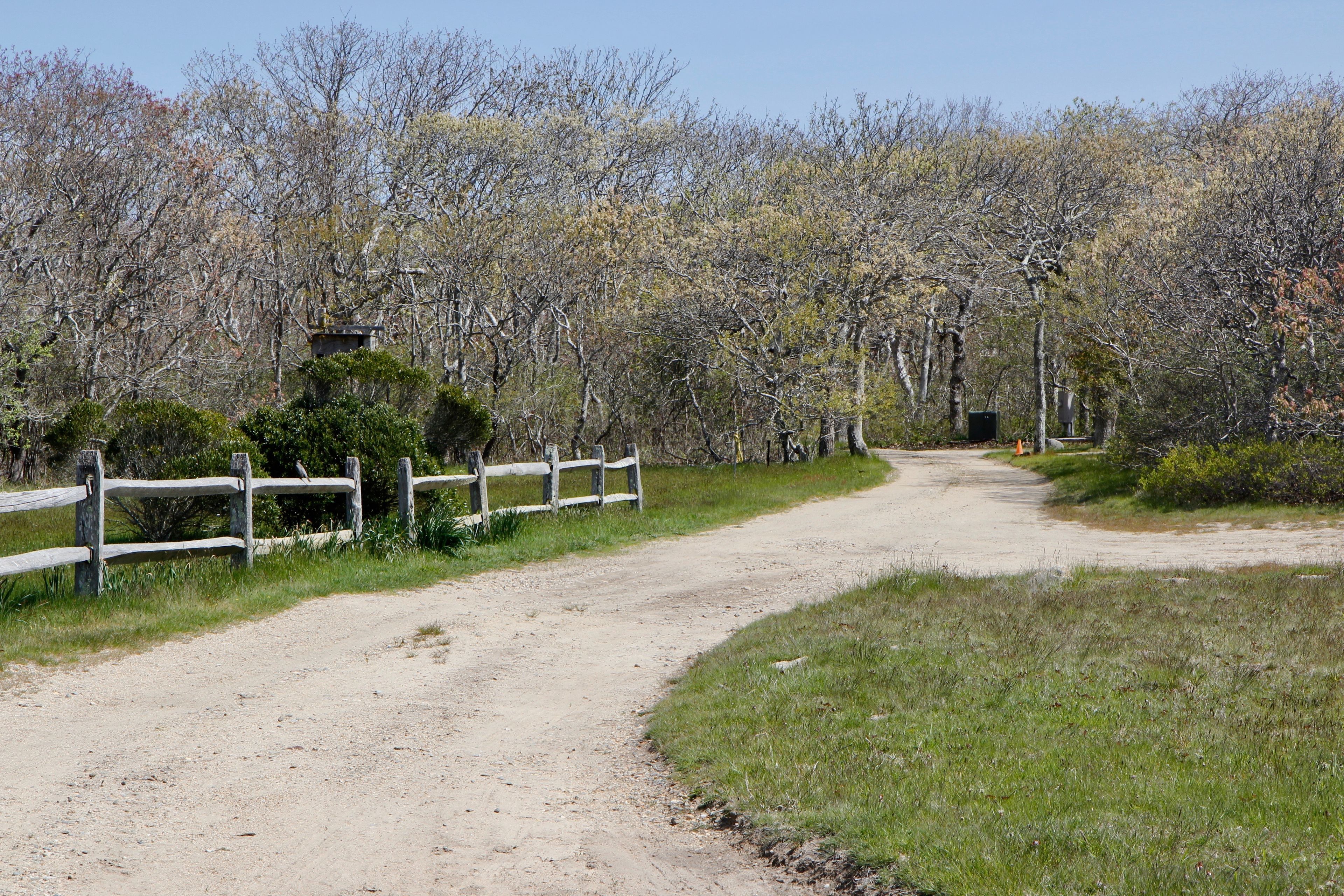 dirt road