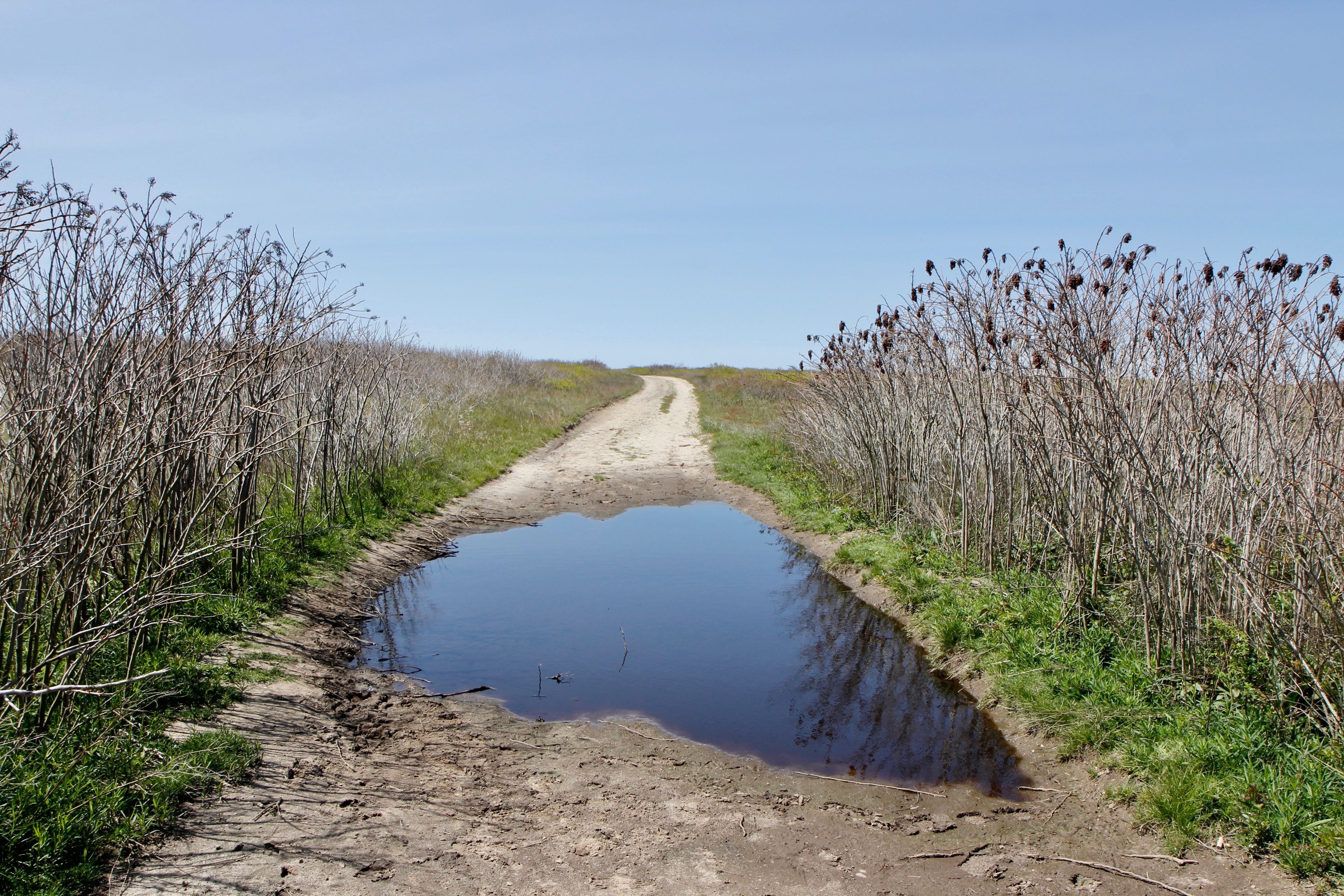 muddy in places