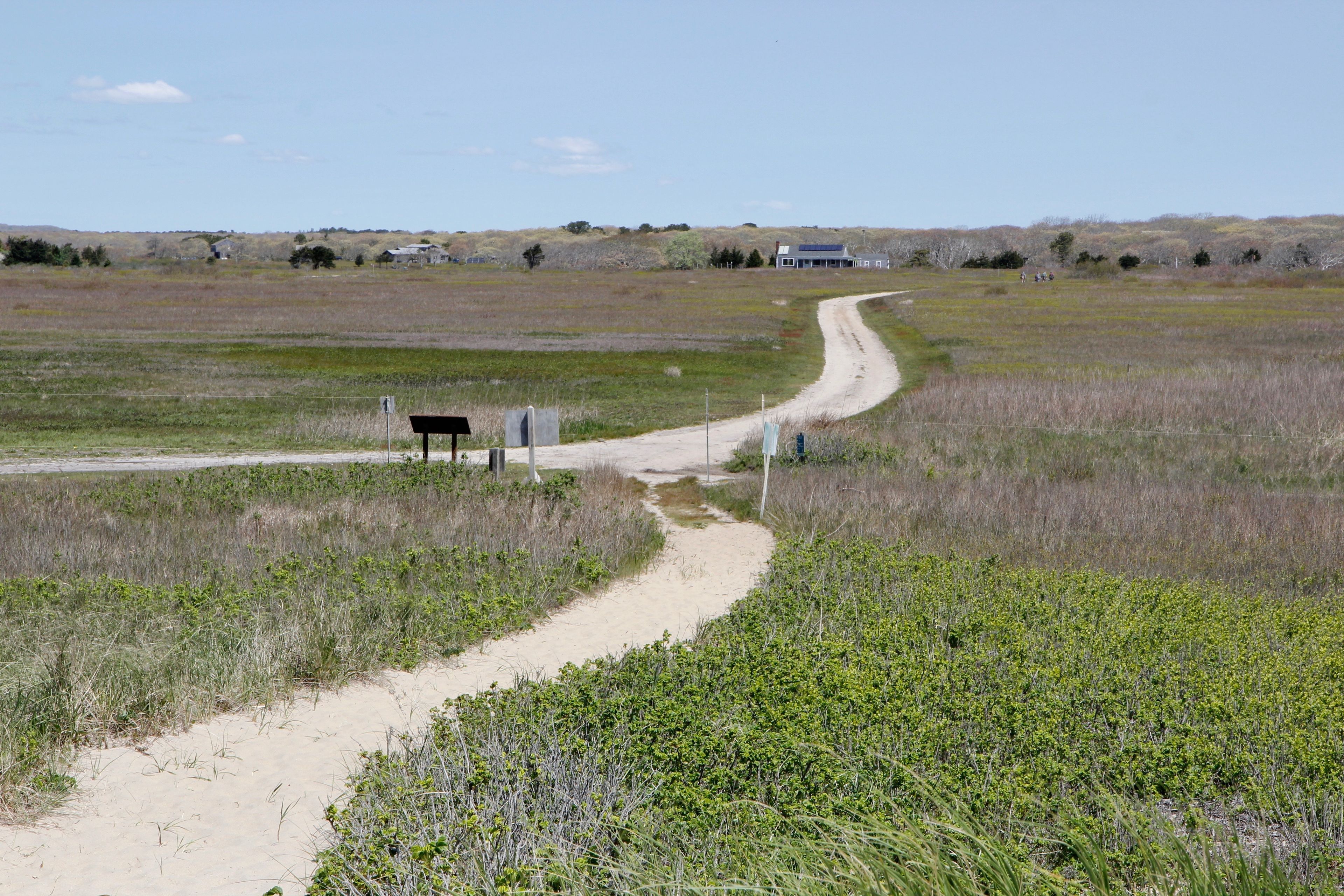 sandy road