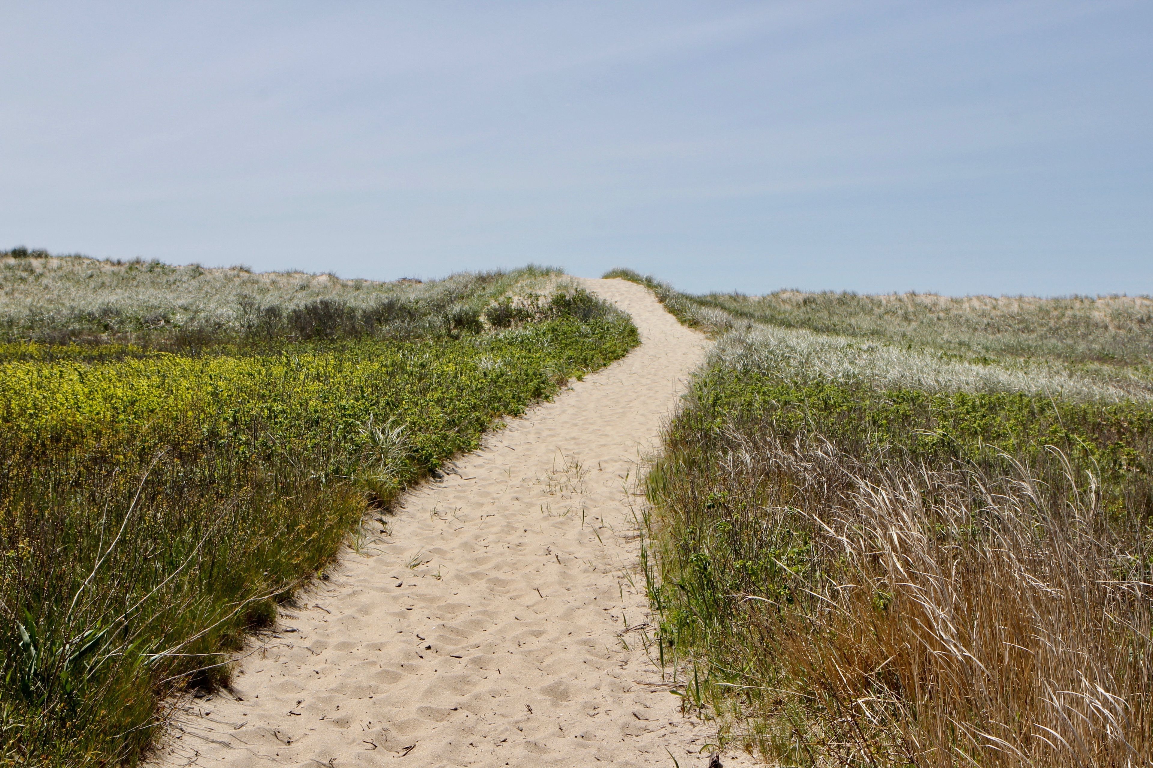 trail over dunes