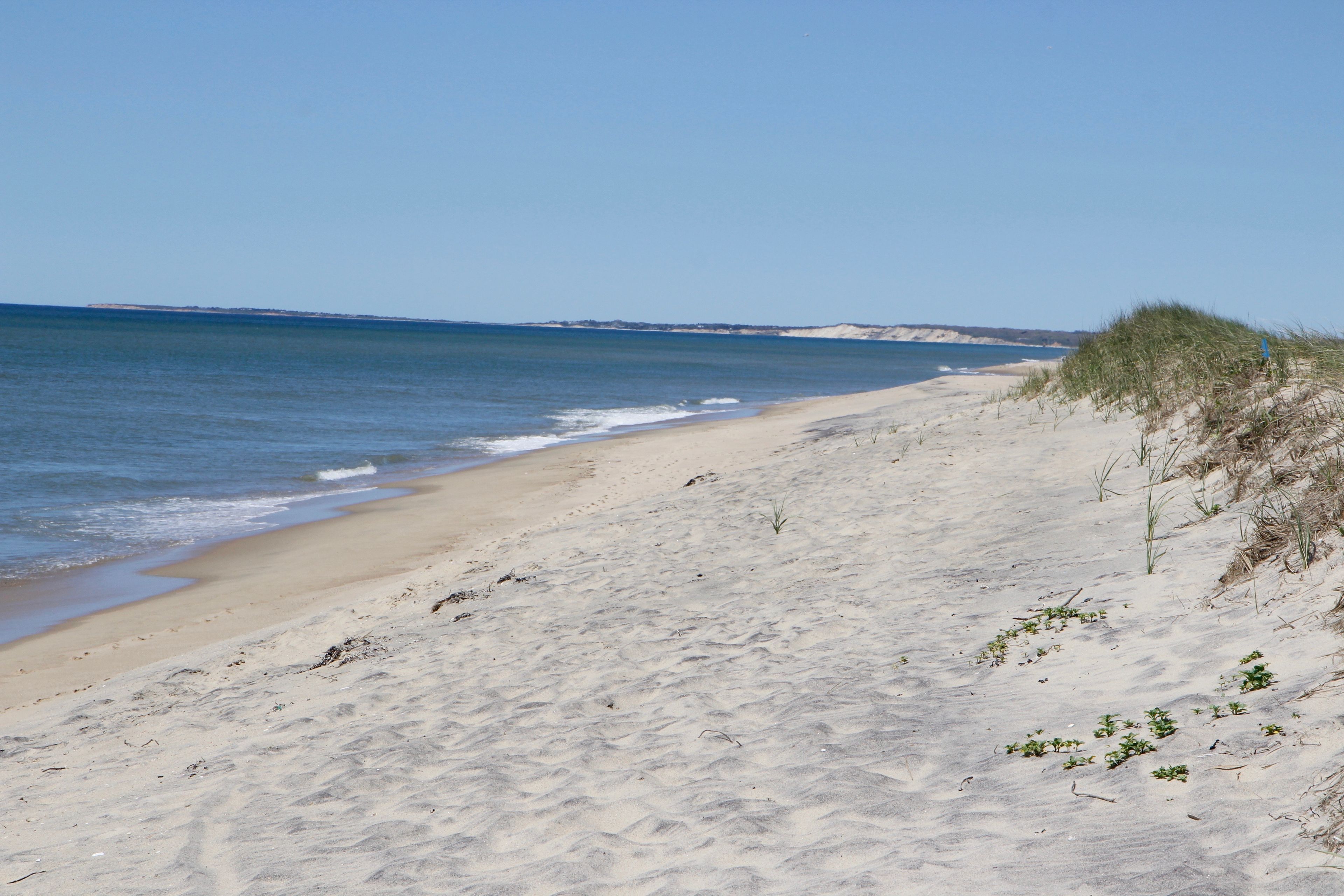 South Beach by Long Point